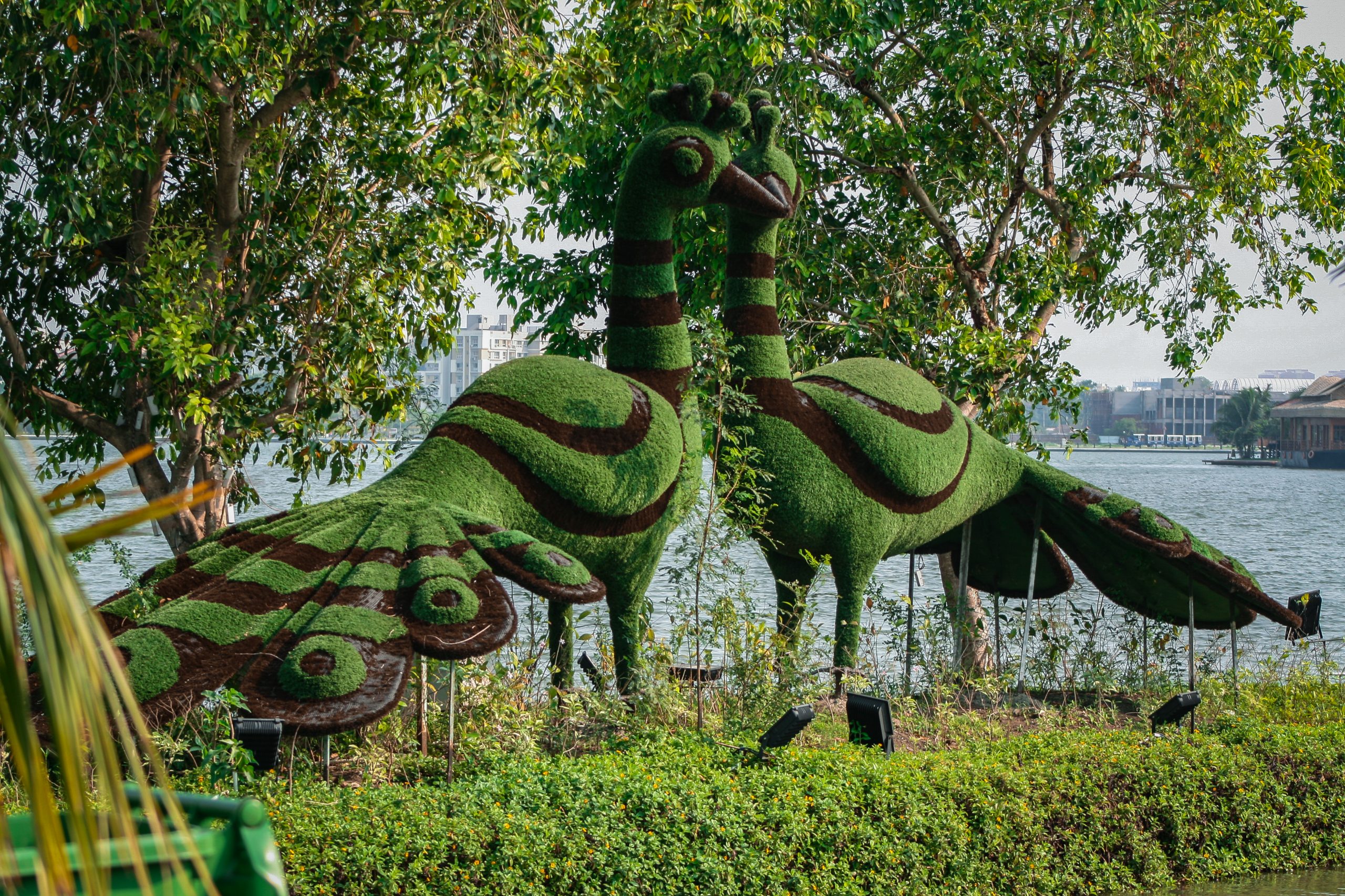 Sculptures of peacock