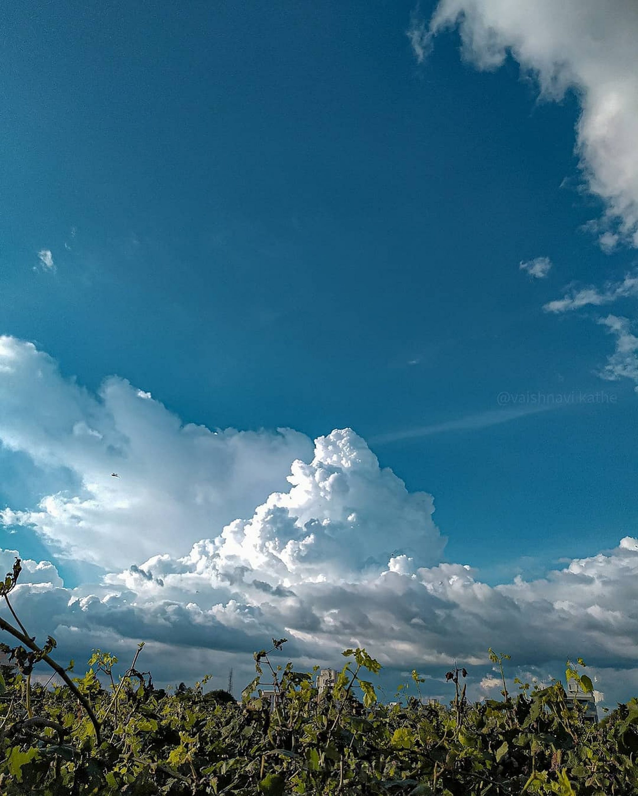 Beauty of Blue Sky