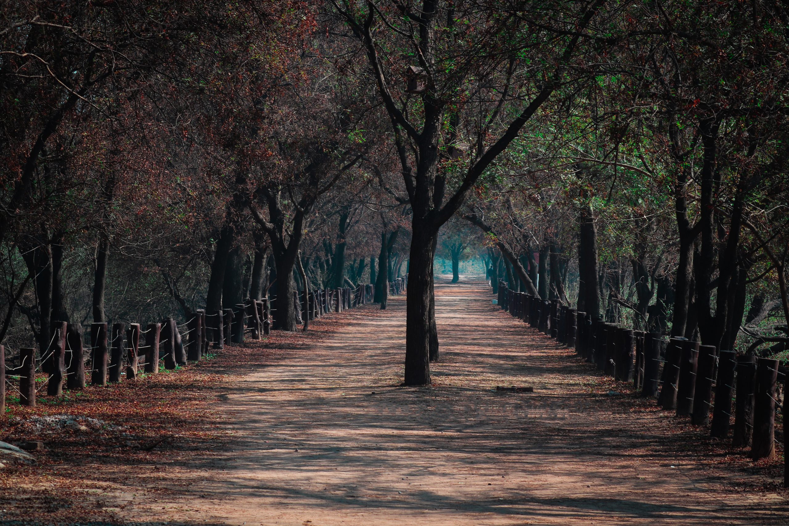 A wildlife sanctuary in Haryana