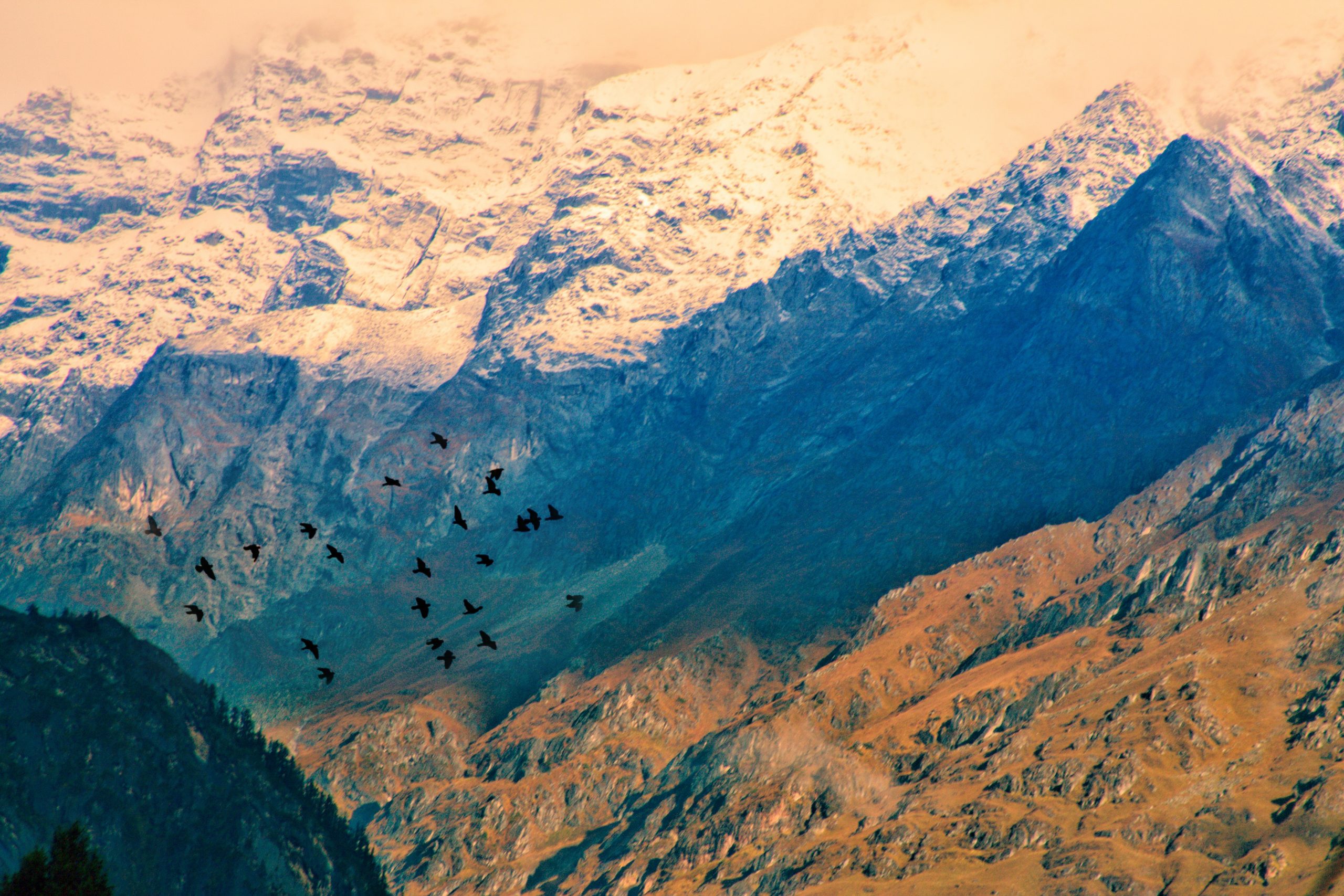 Birds flying around mountains