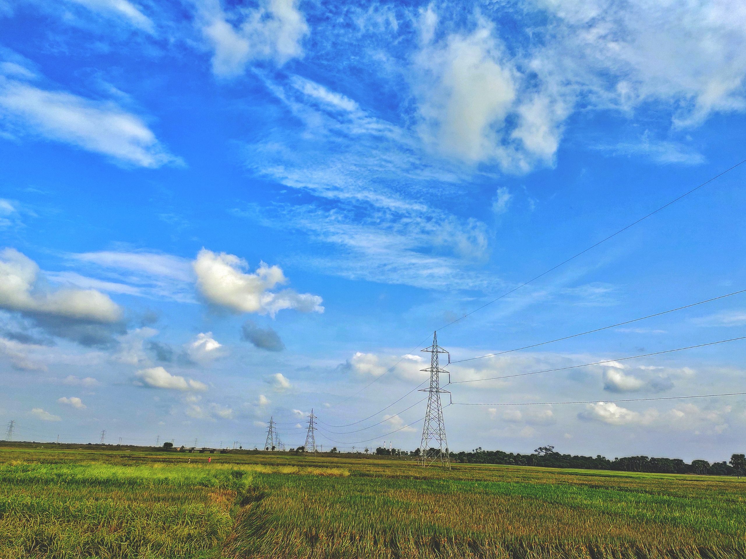 Blue sky and the green field