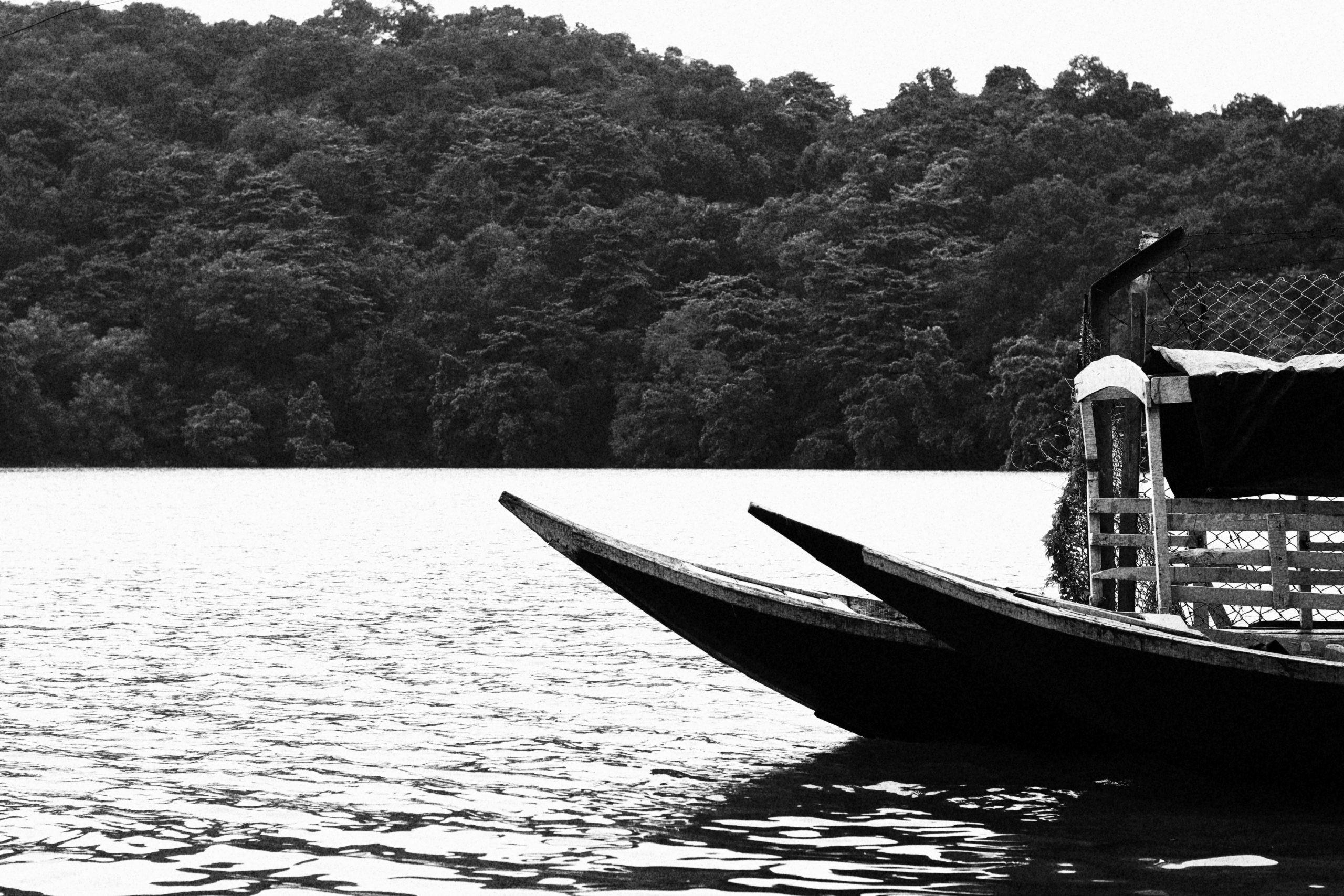 Boats and nature in a black and white color