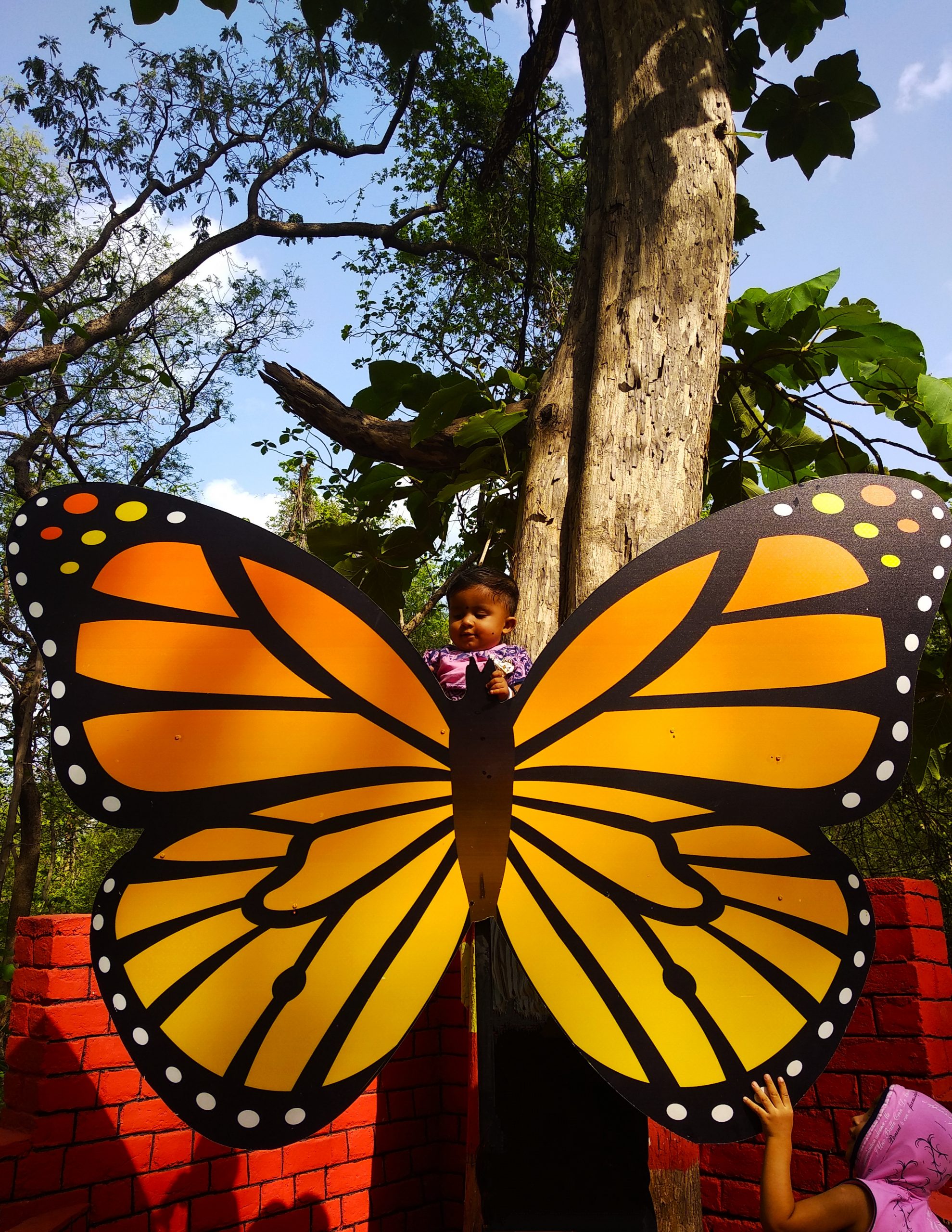 Butterfly Garden in Chandrapur