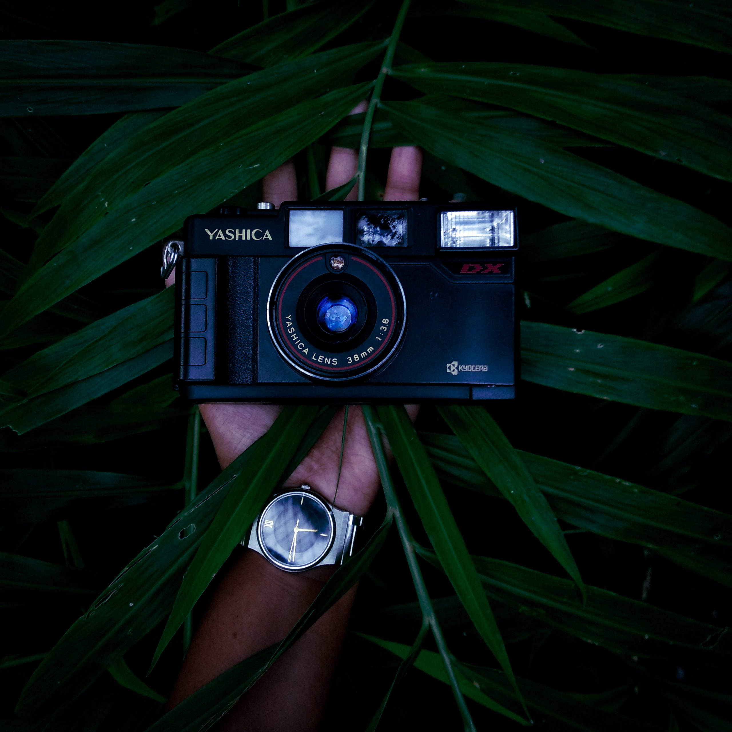 Camera on Palm