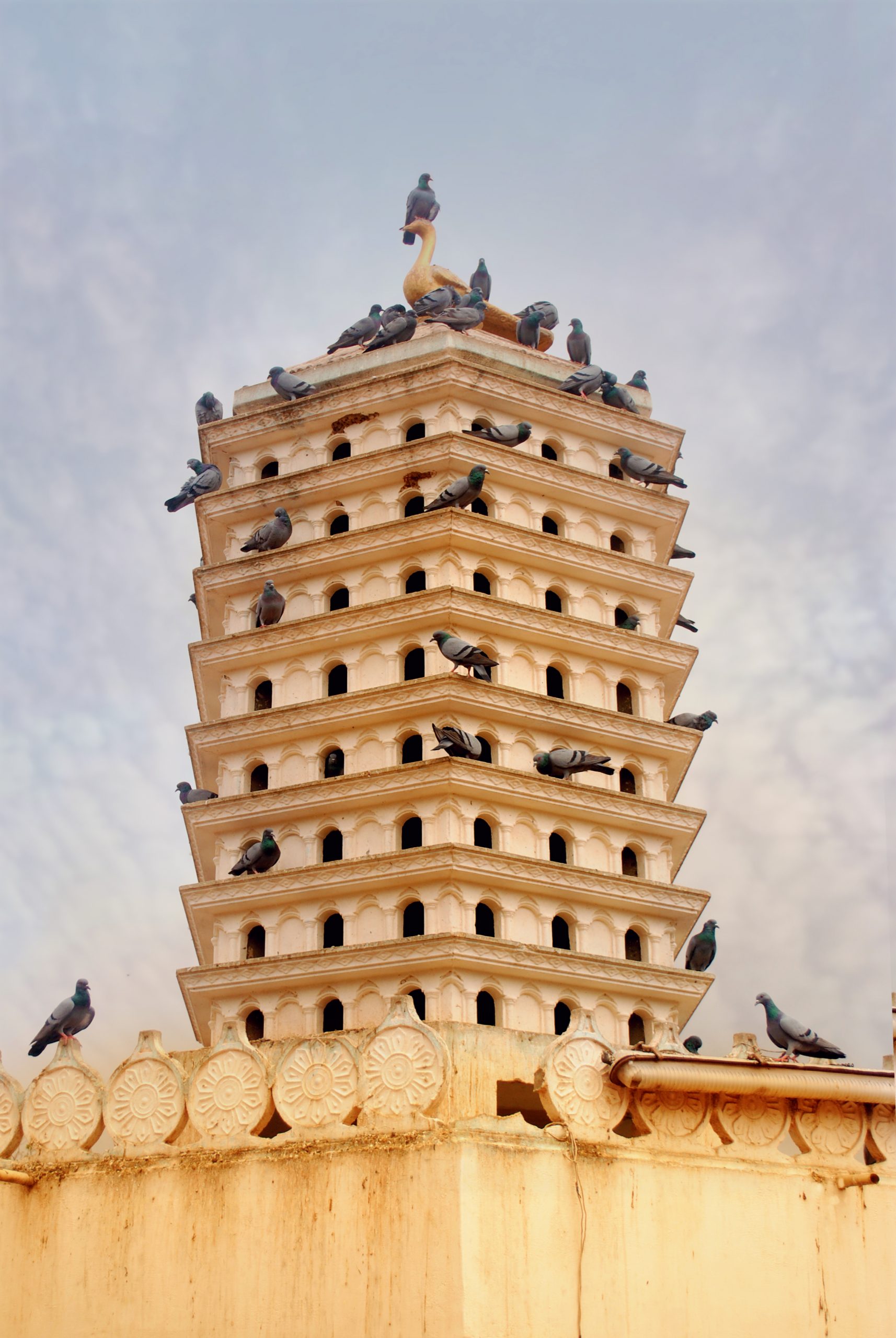 Chabutaro tower for pigeons