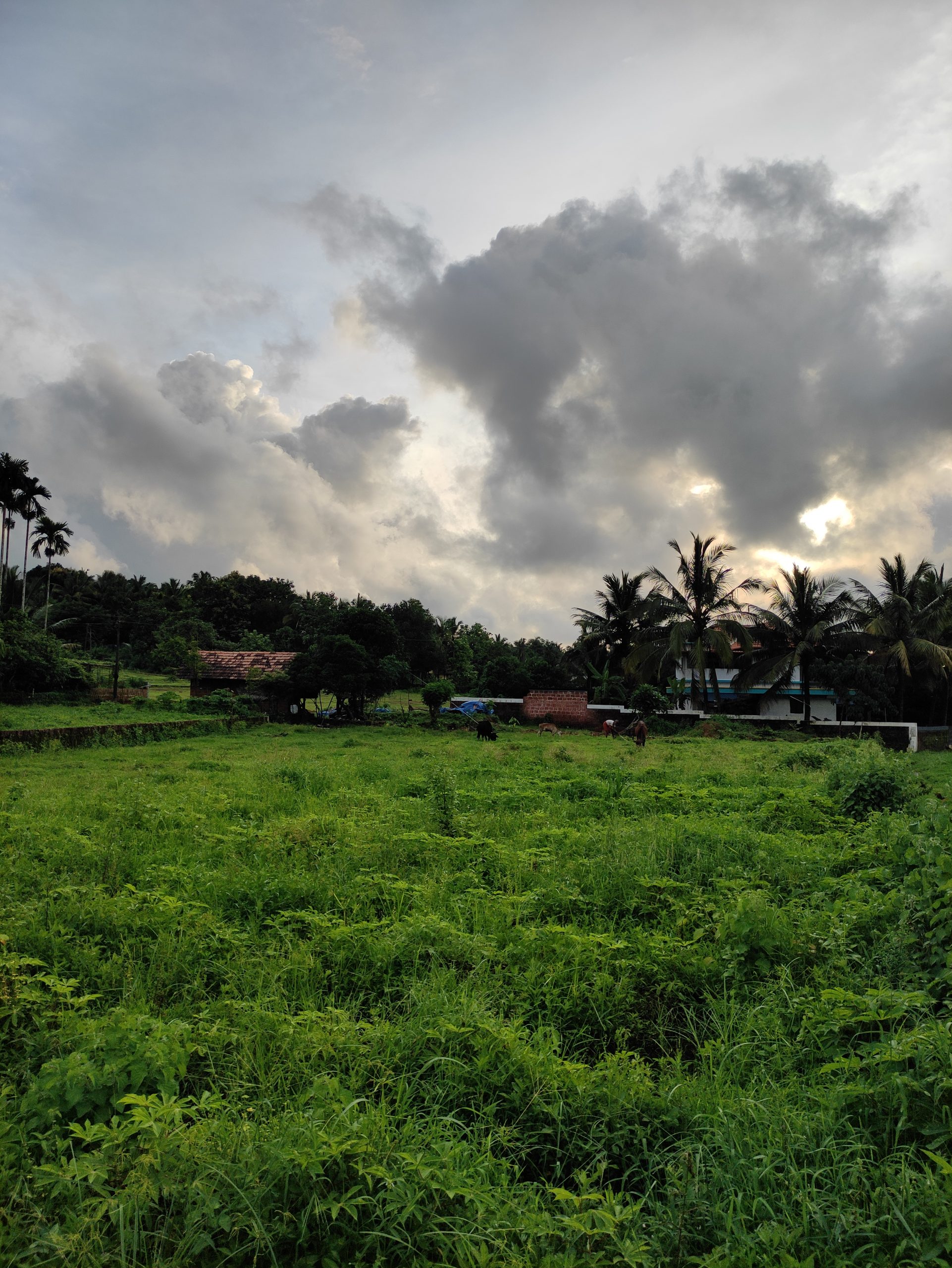 Clouds over a green town