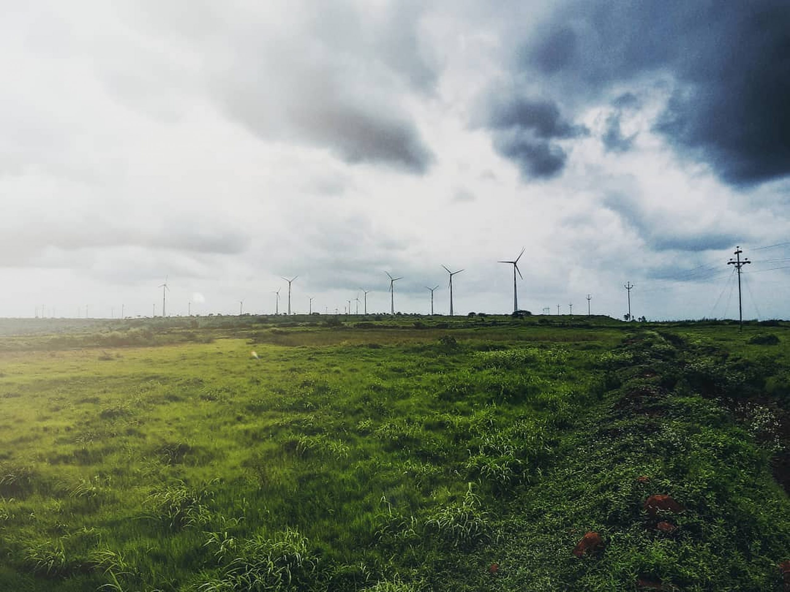 Cloudy Green Landscape