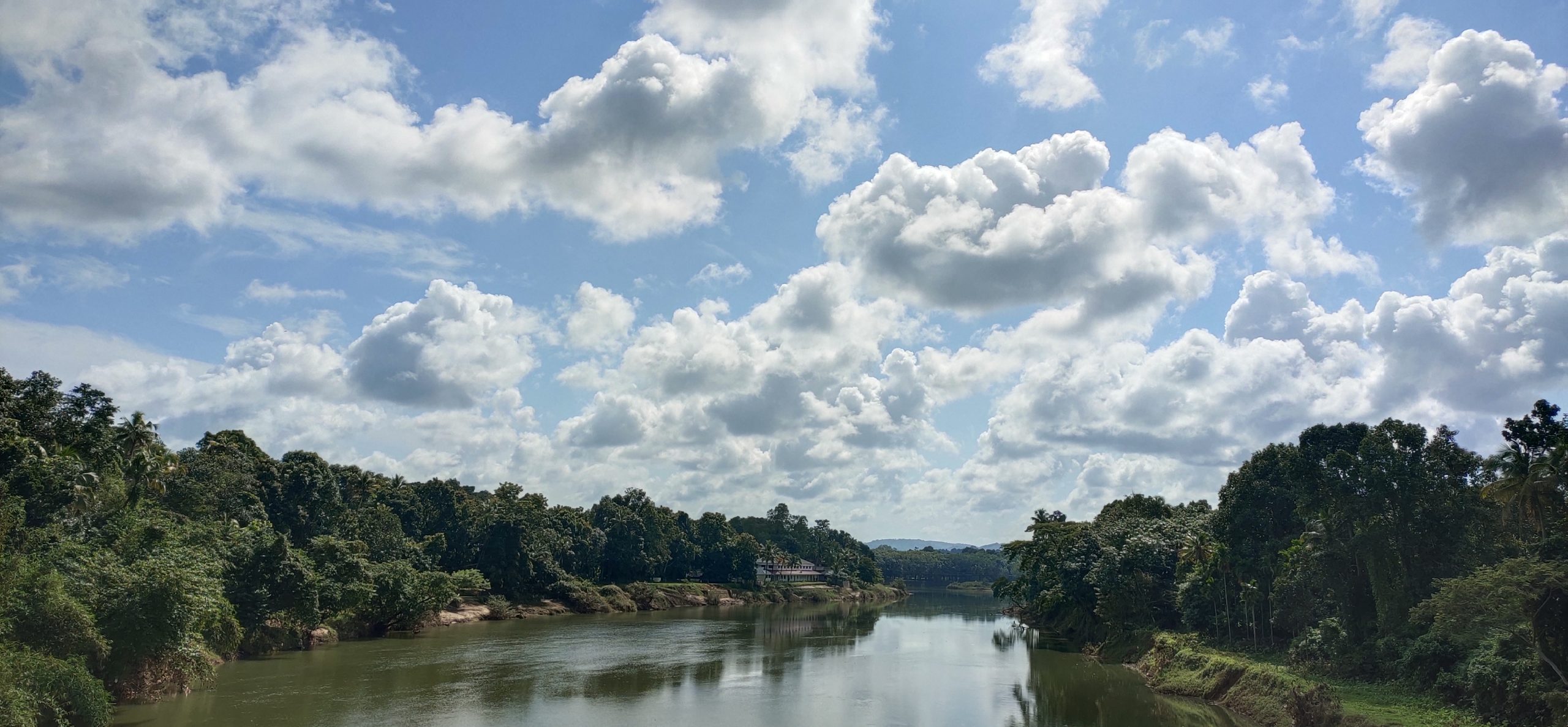 Cloudy Landscape