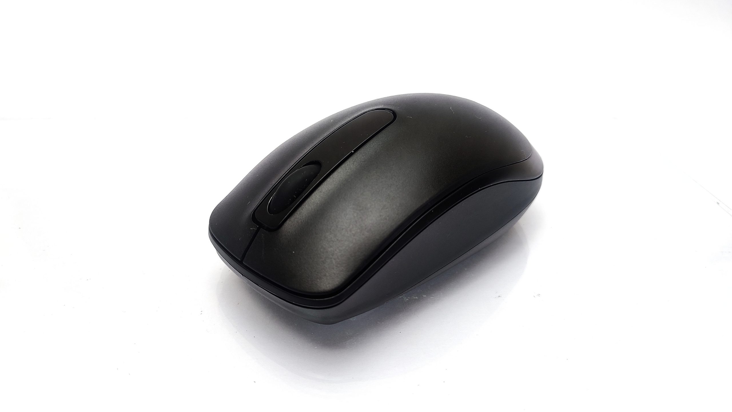 Computer Mouse on White Background