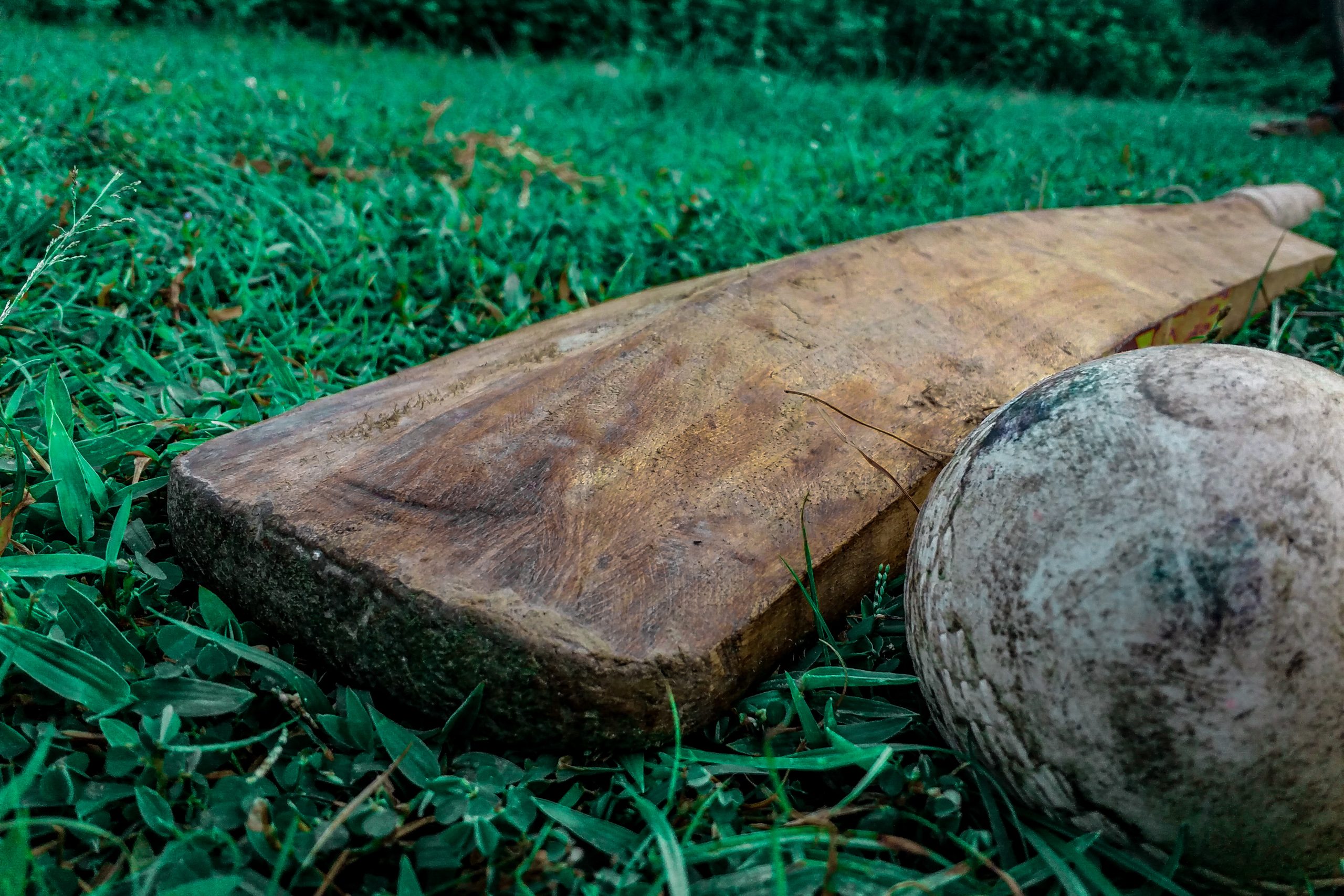 Cricket bat and ball on the ground