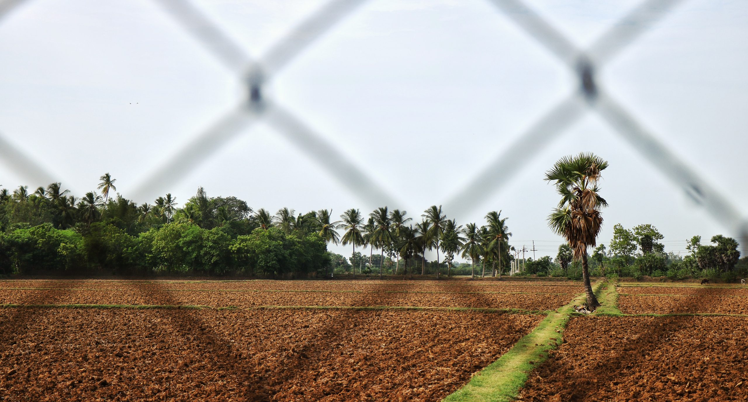 Cultivated land in a rural area