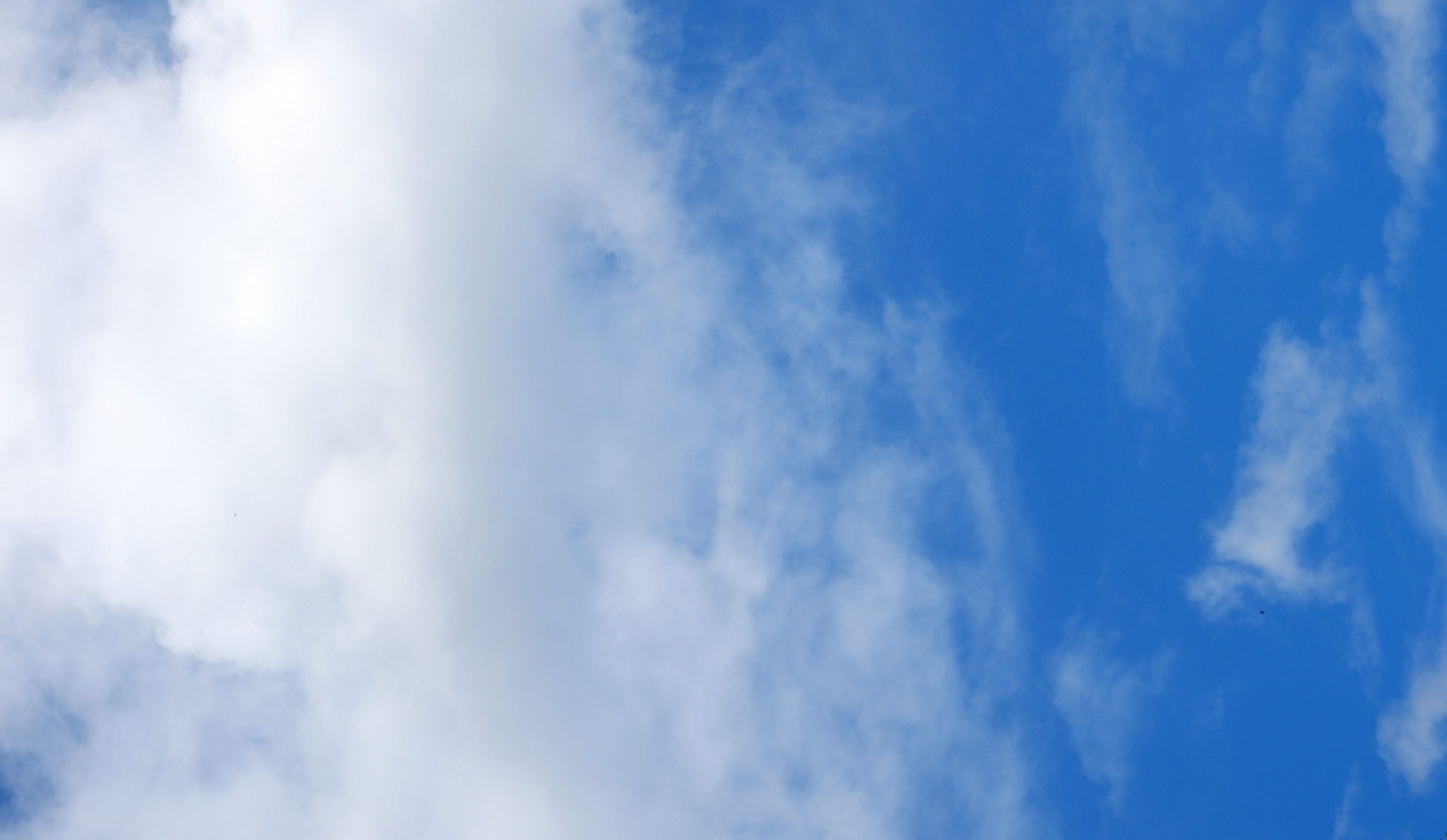 Cumulus clouds