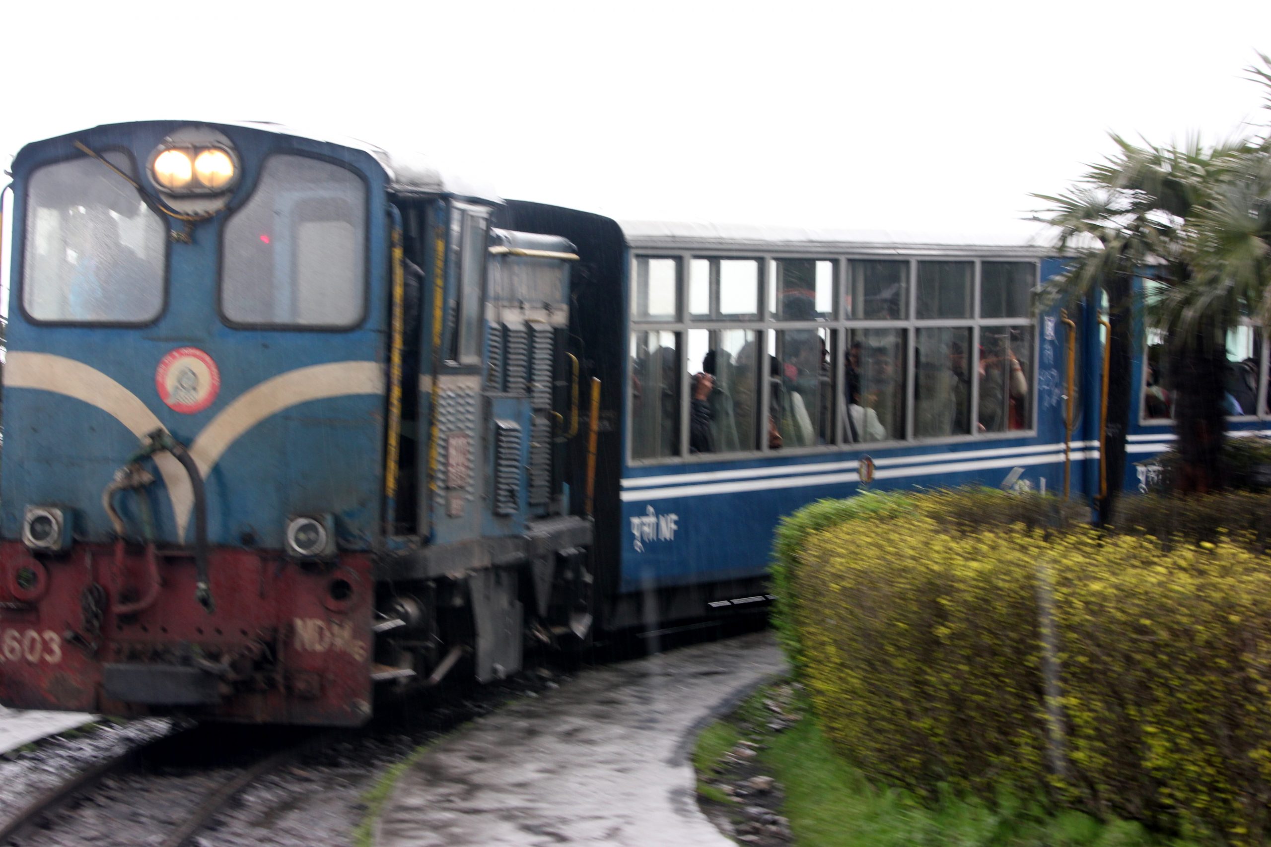 Darjeeling Toy Train rides.