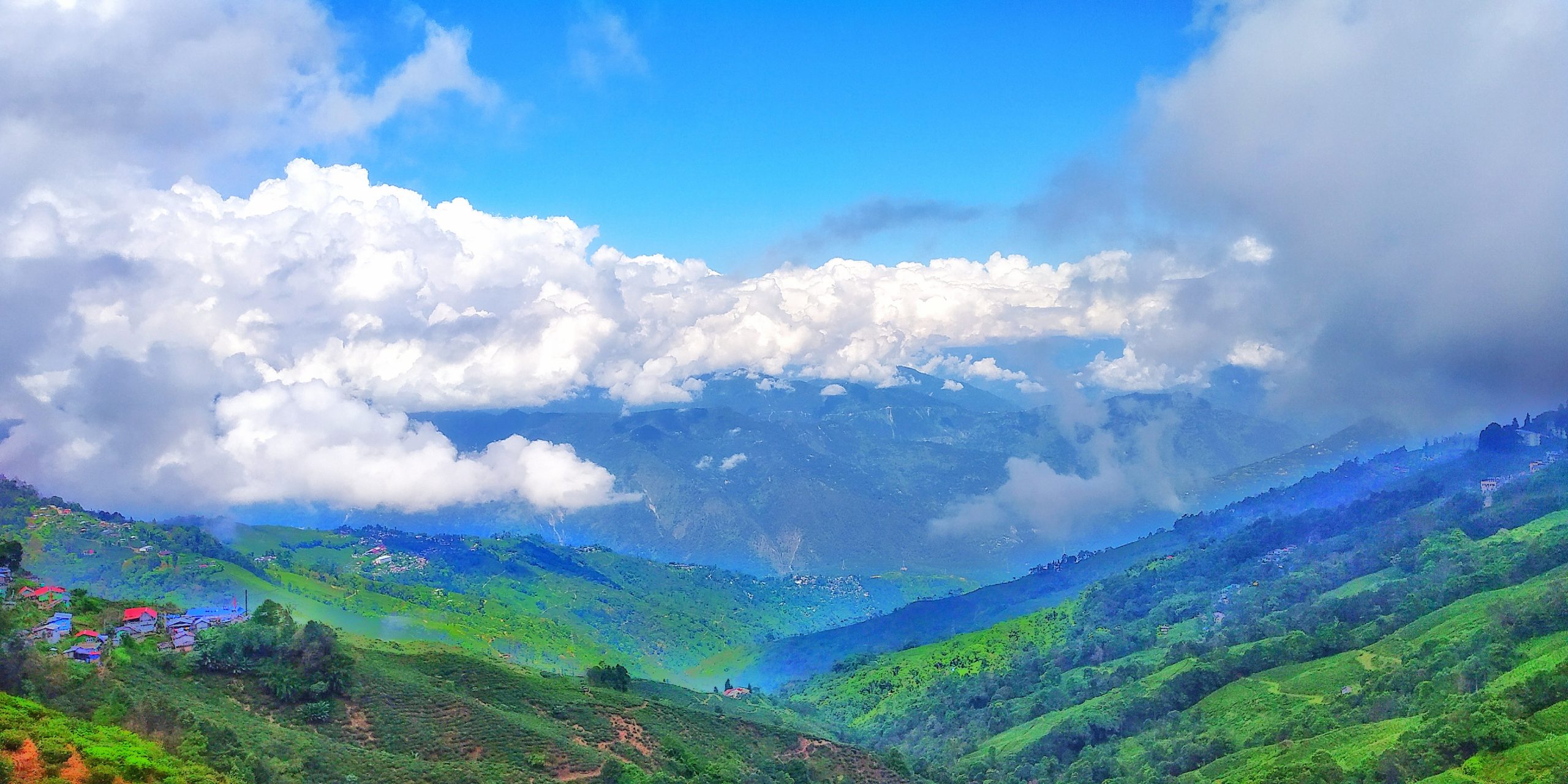 Dazzling hills of Darjeeling