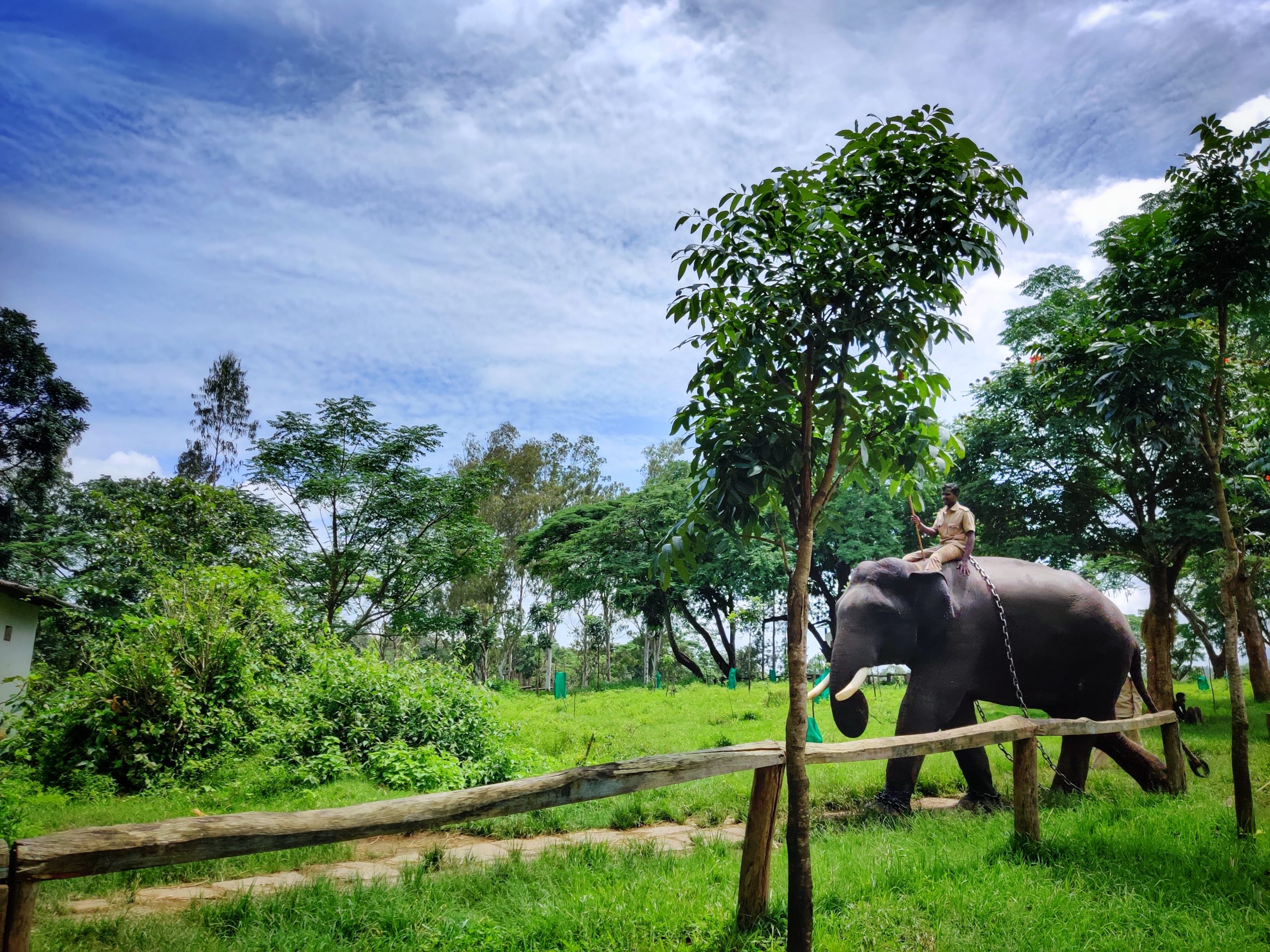 Dubare Elephant Camp coorg