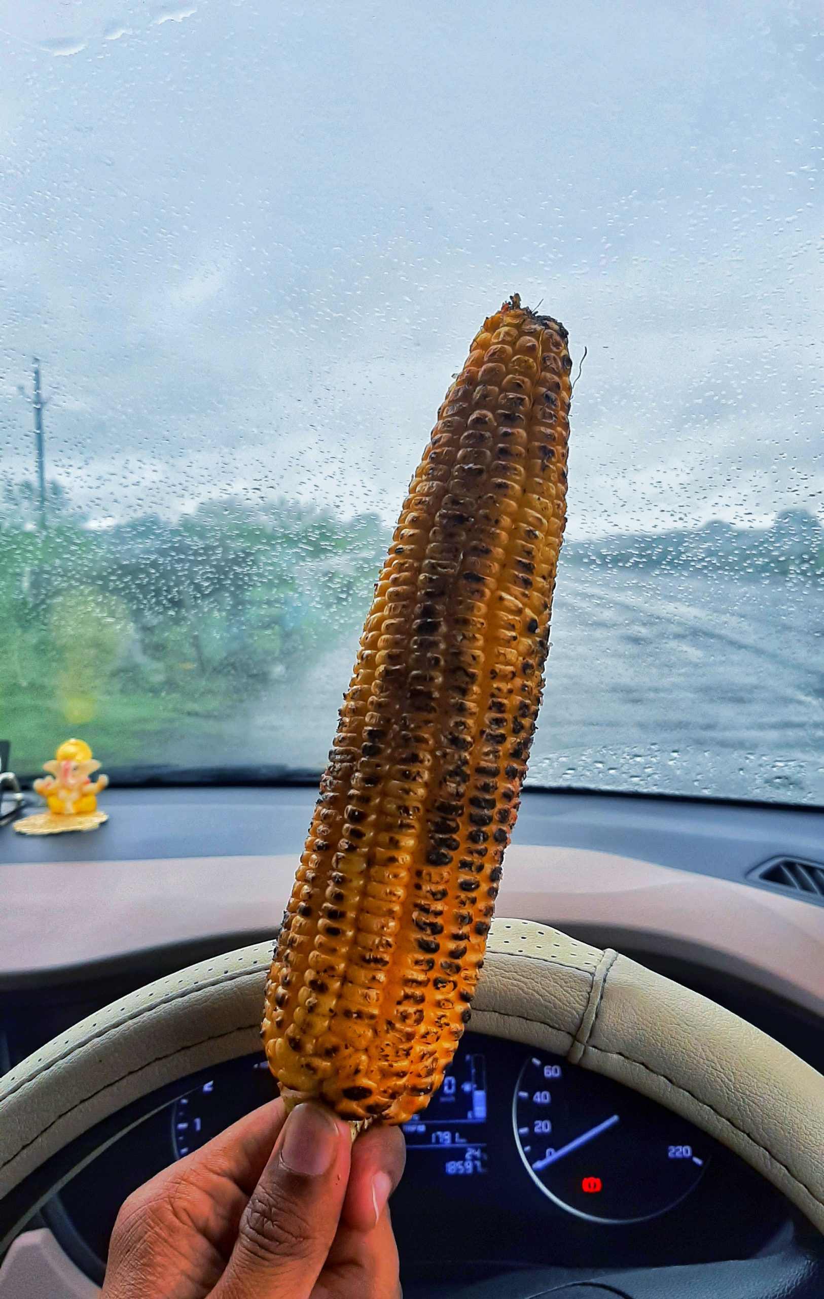 eating corn while driving a car