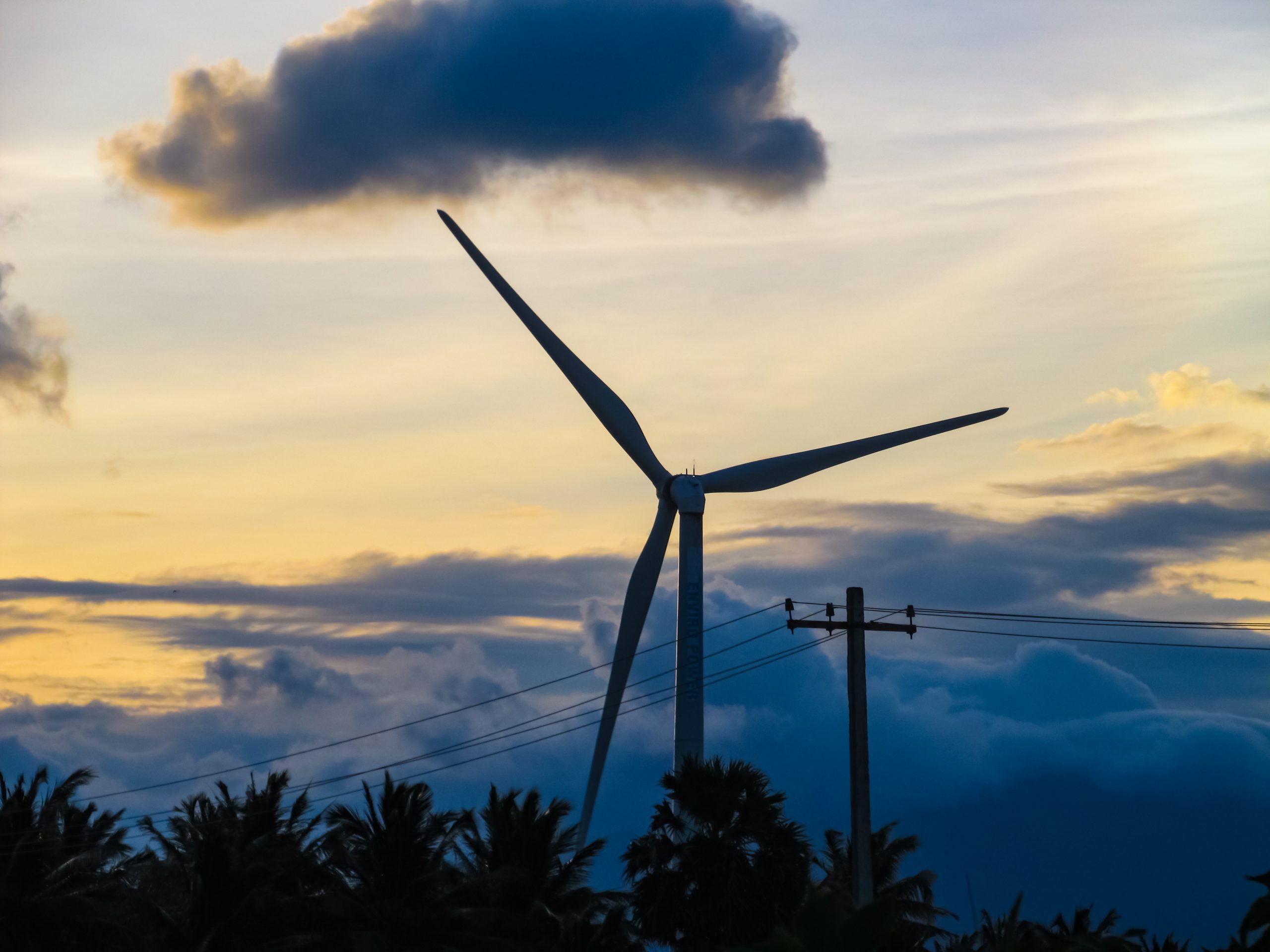 Evening Windmills View