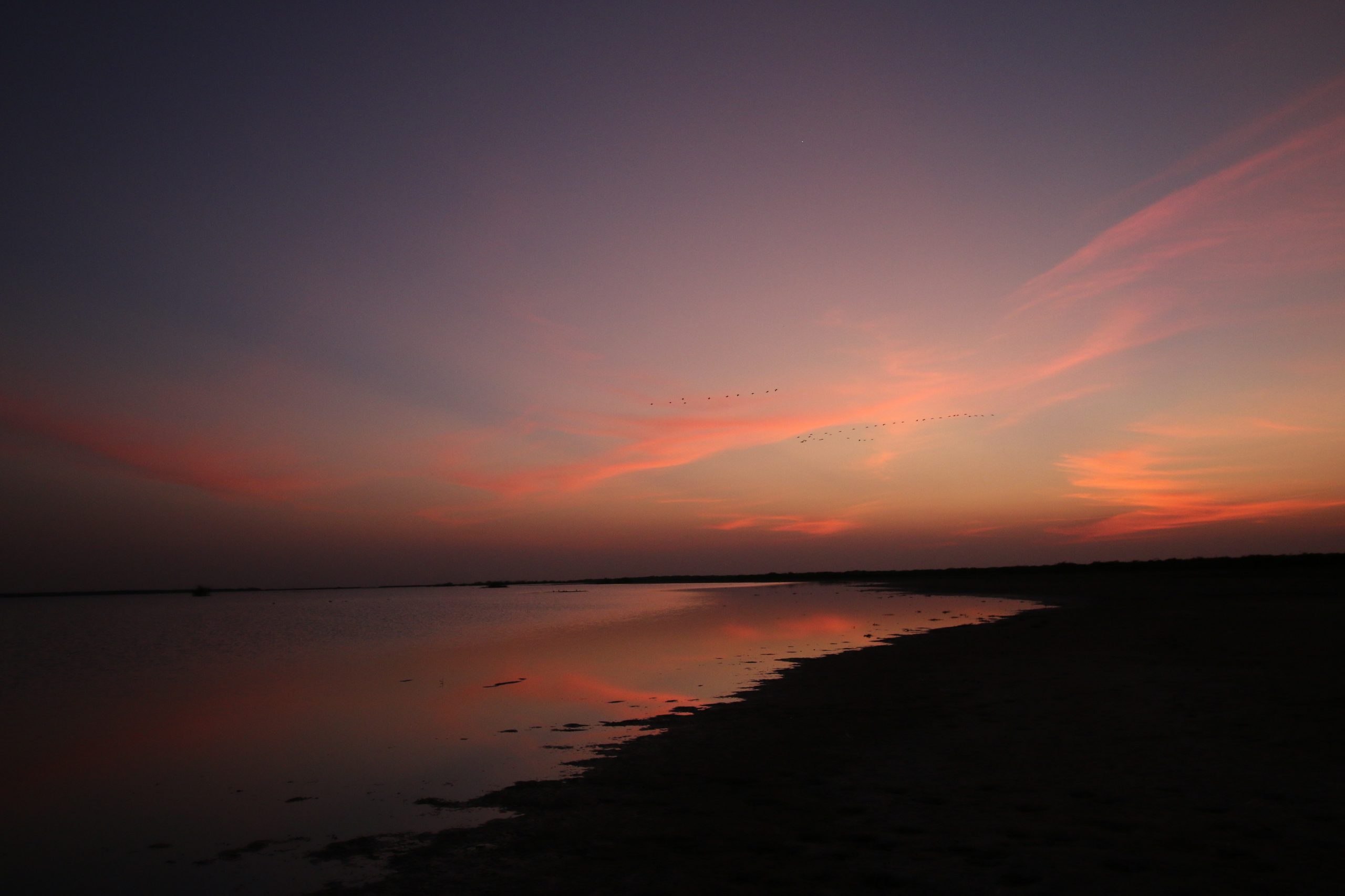 Evening on a beach