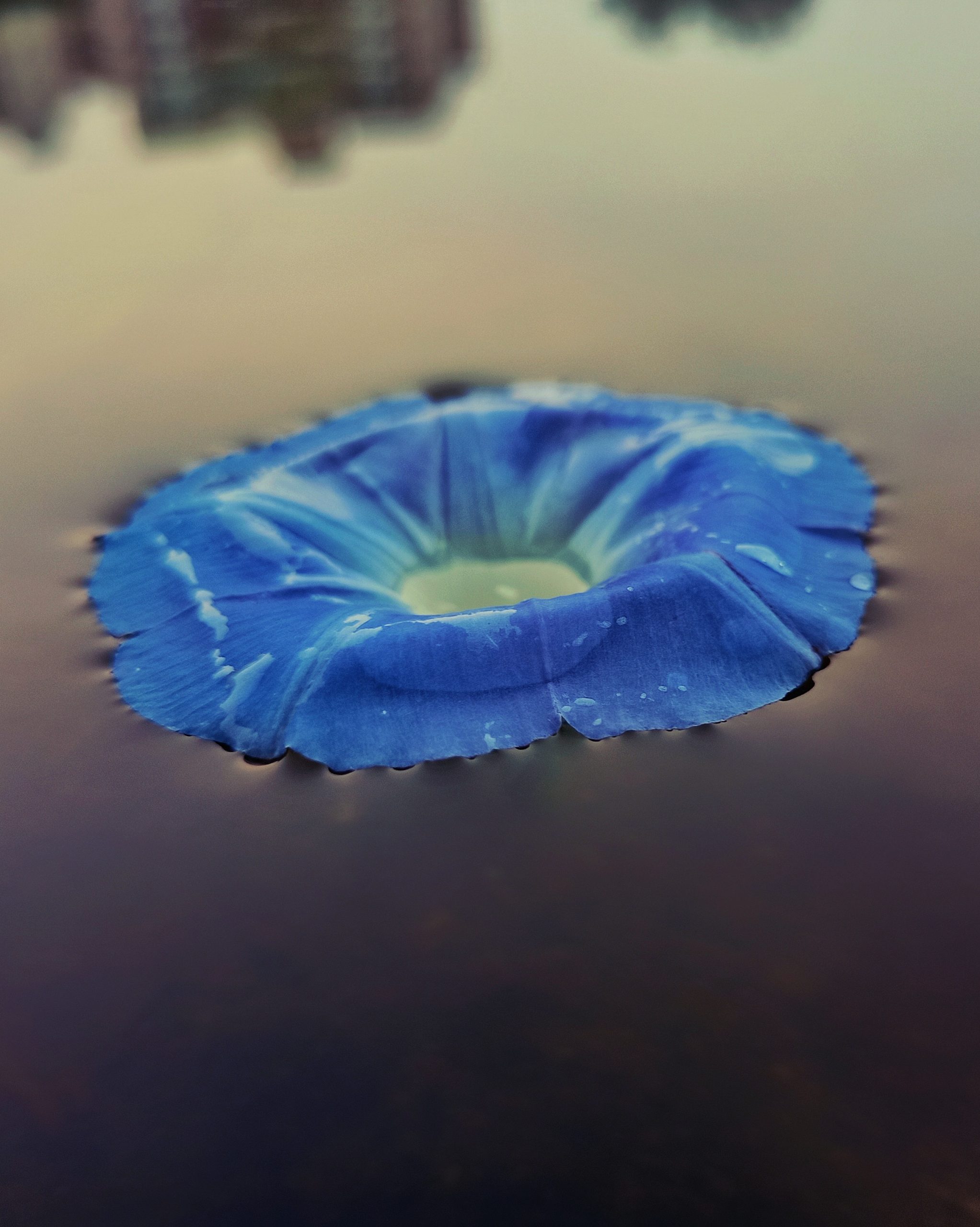 Flower floating