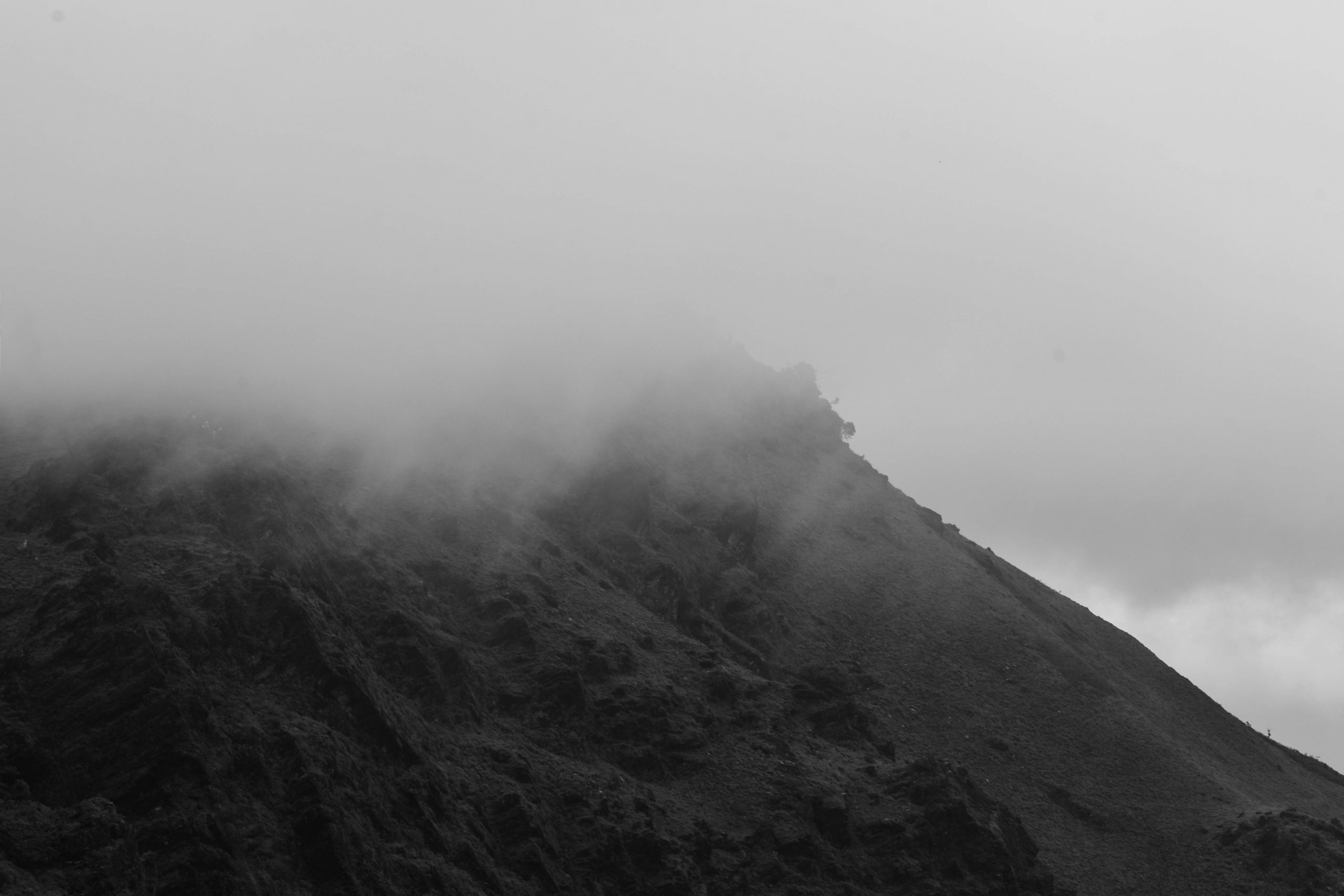 hills covered in fog