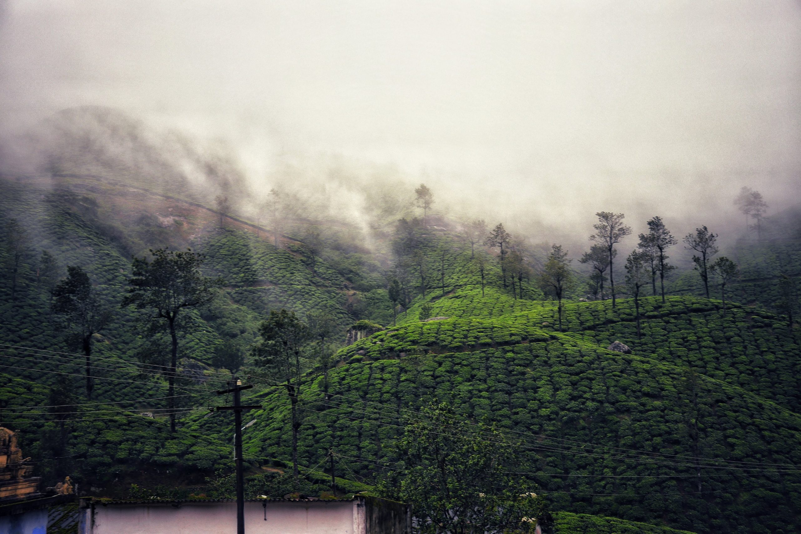 Foggy Green Hills