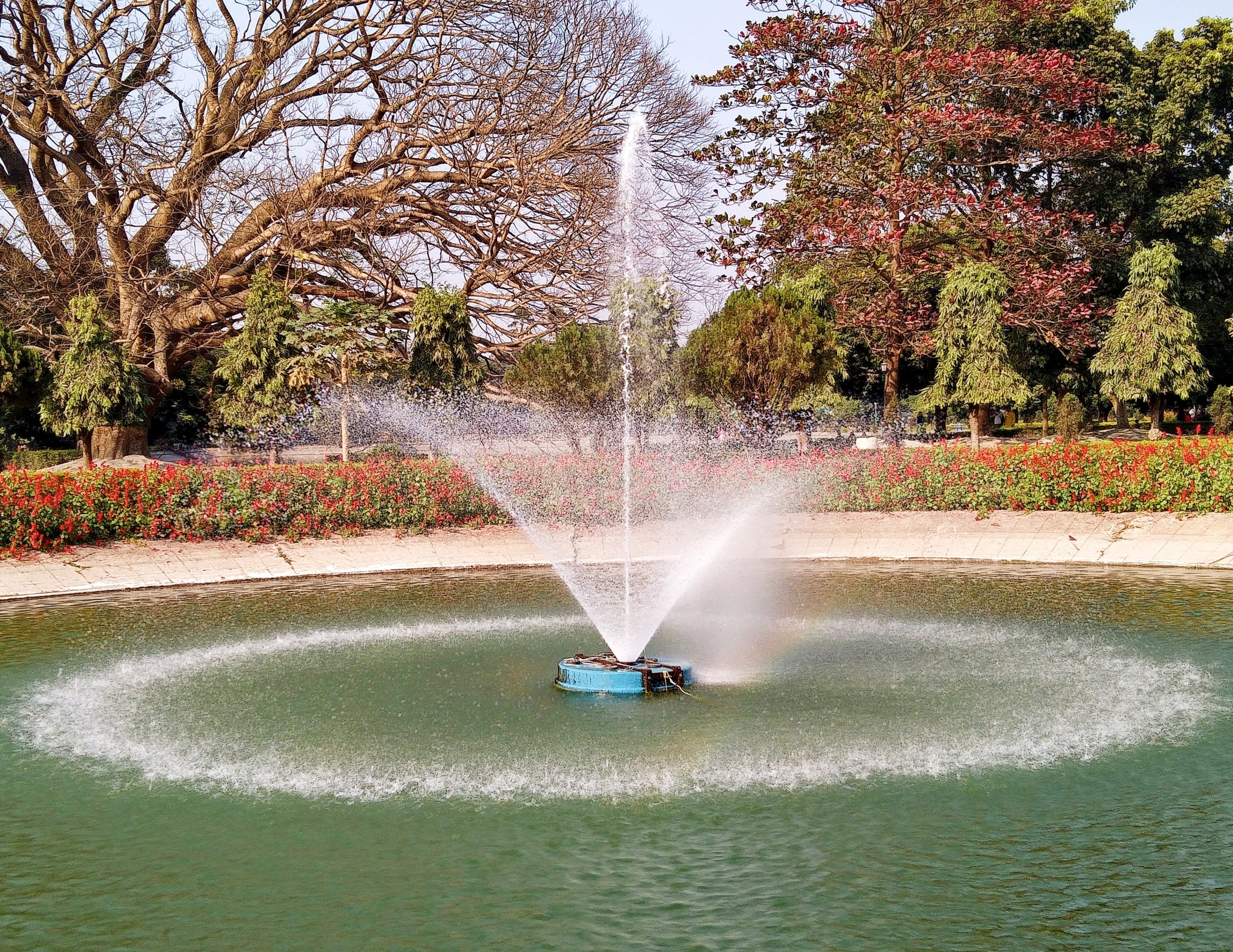 Fountain on the Park