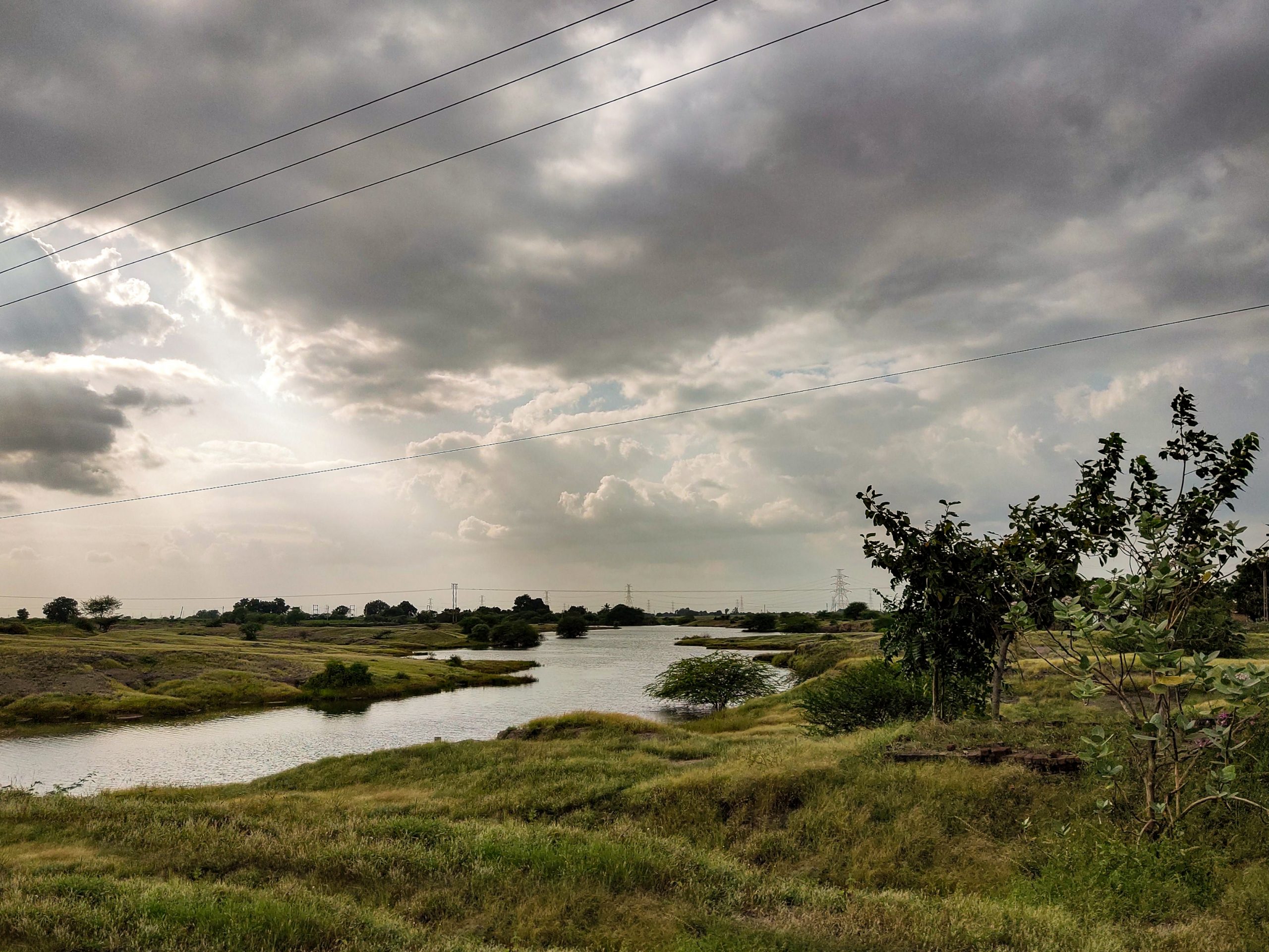 Freshwater Marsh in a Land