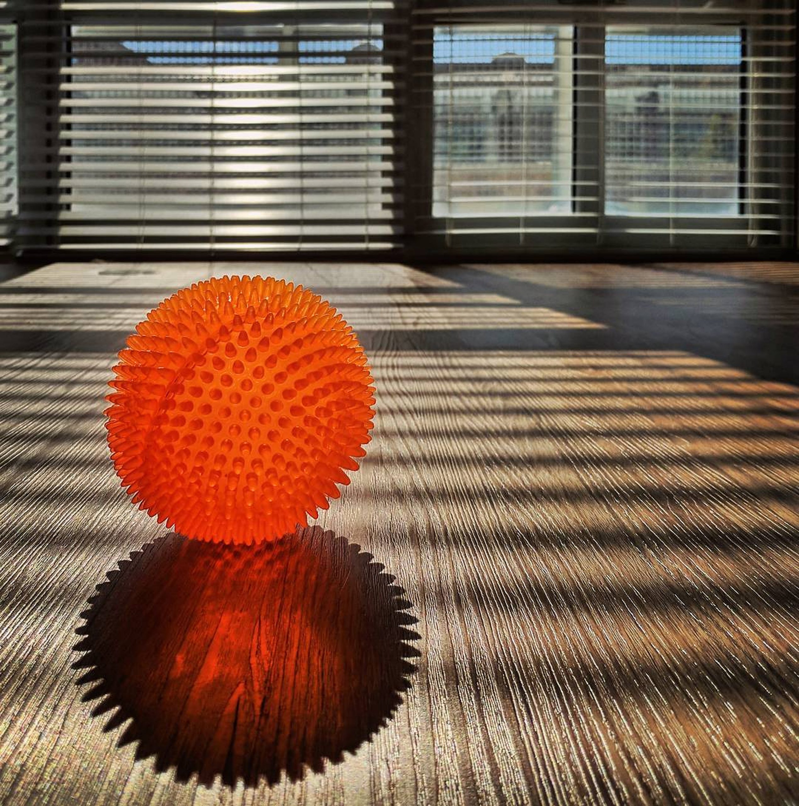 A ball inside a room