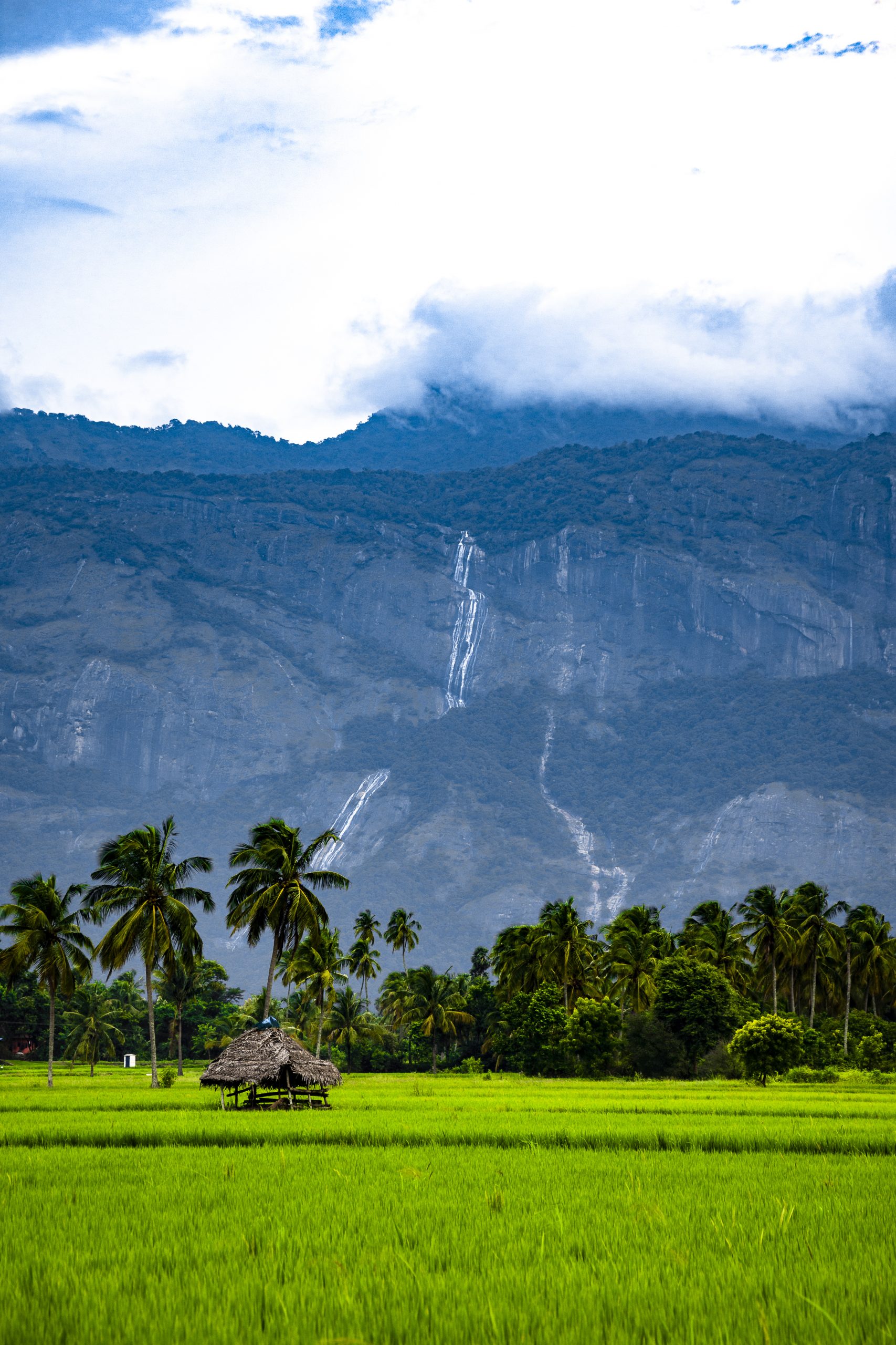 Green Field with Mountain Top