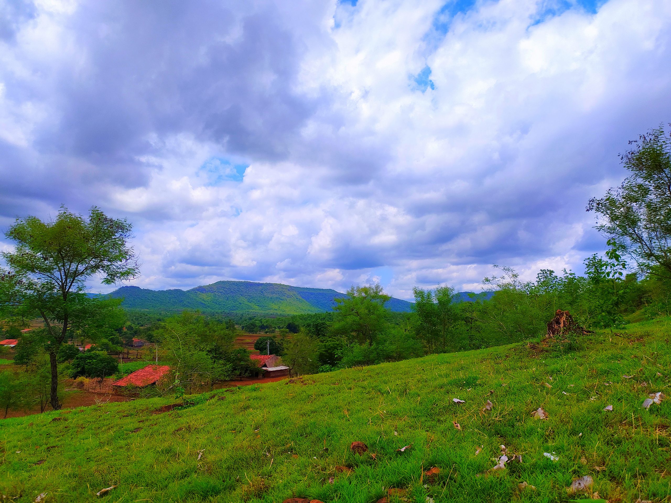 Greenery of a hill station