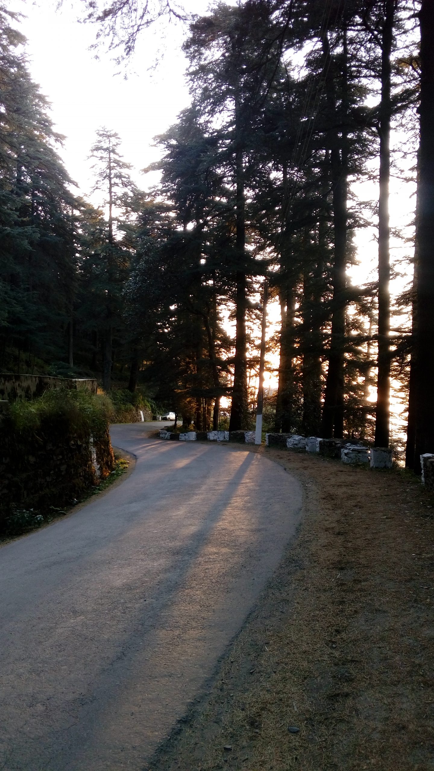 Highway of Chail, Himachal Pradesh