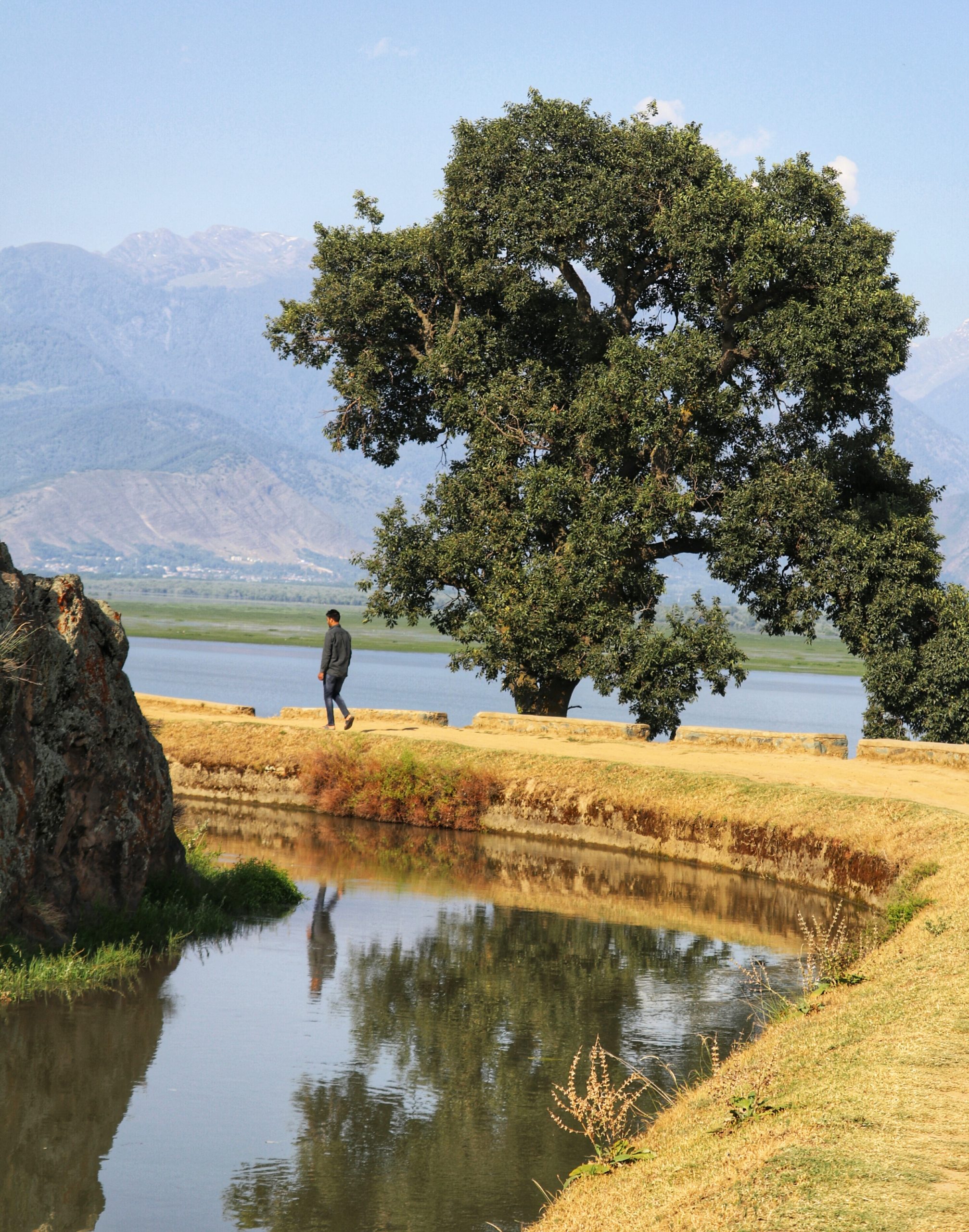 Hill Station Landscape