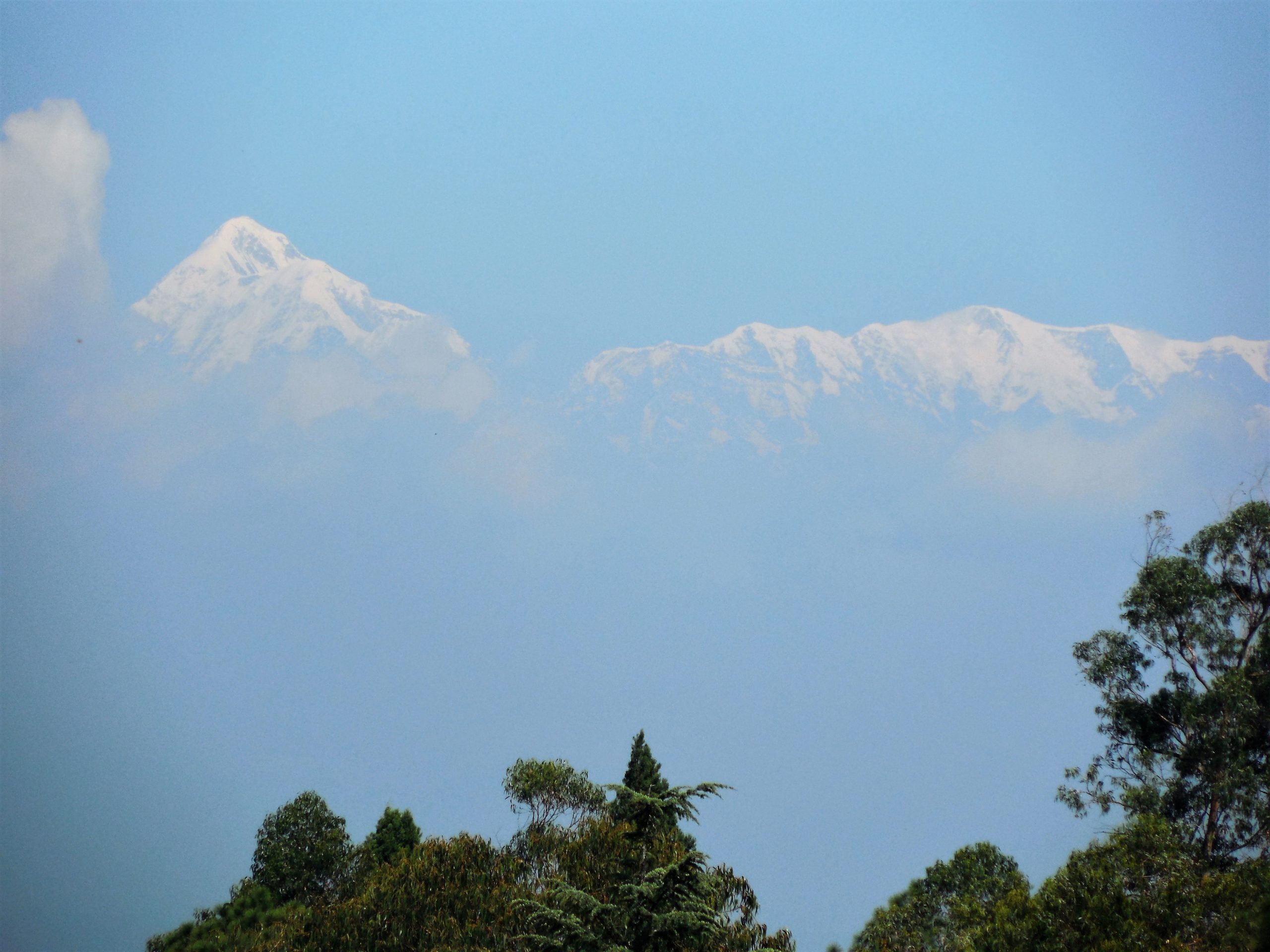 Himalayan peaks view from Ranikhet