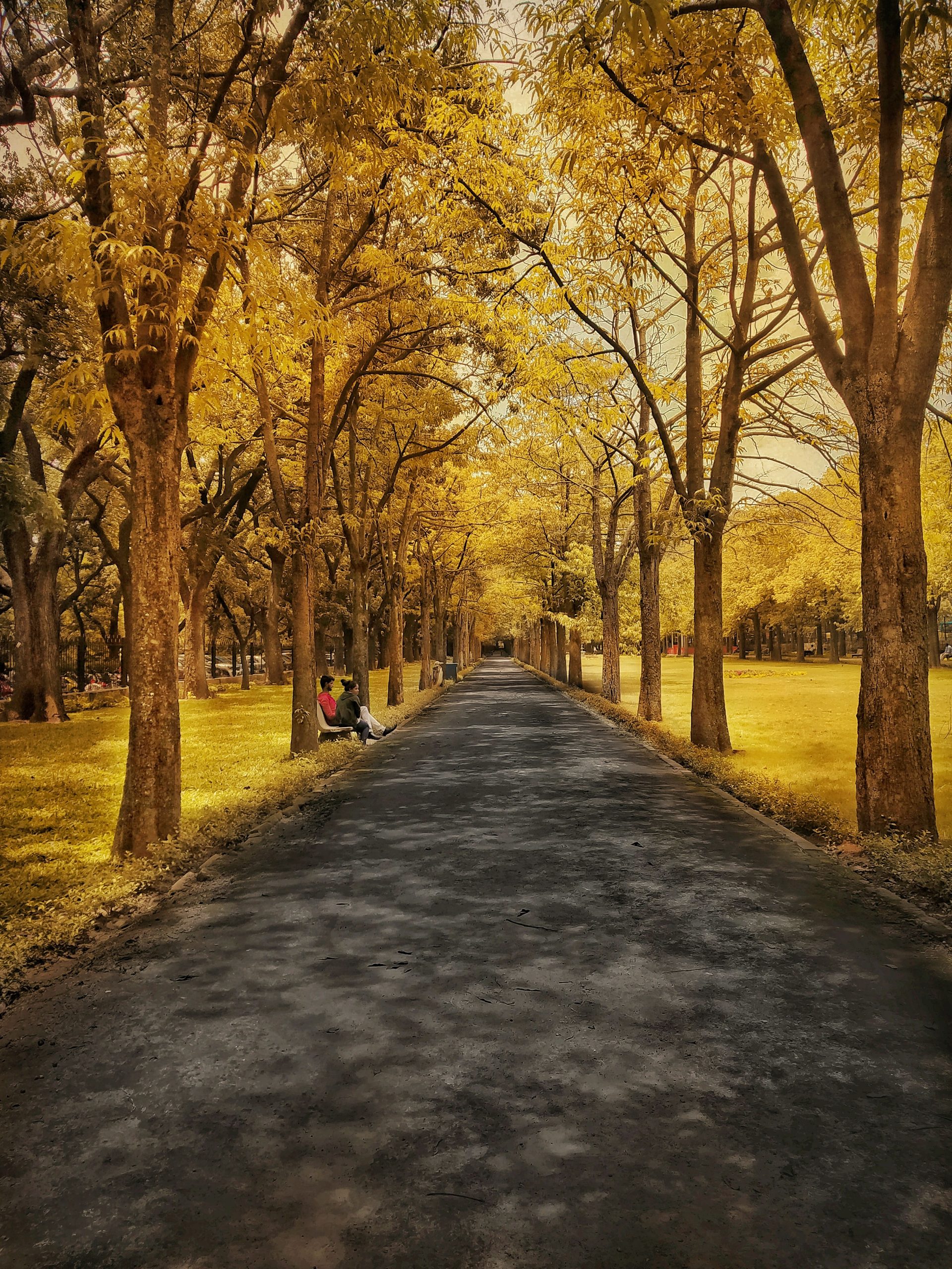 Cubbon Park Pathway