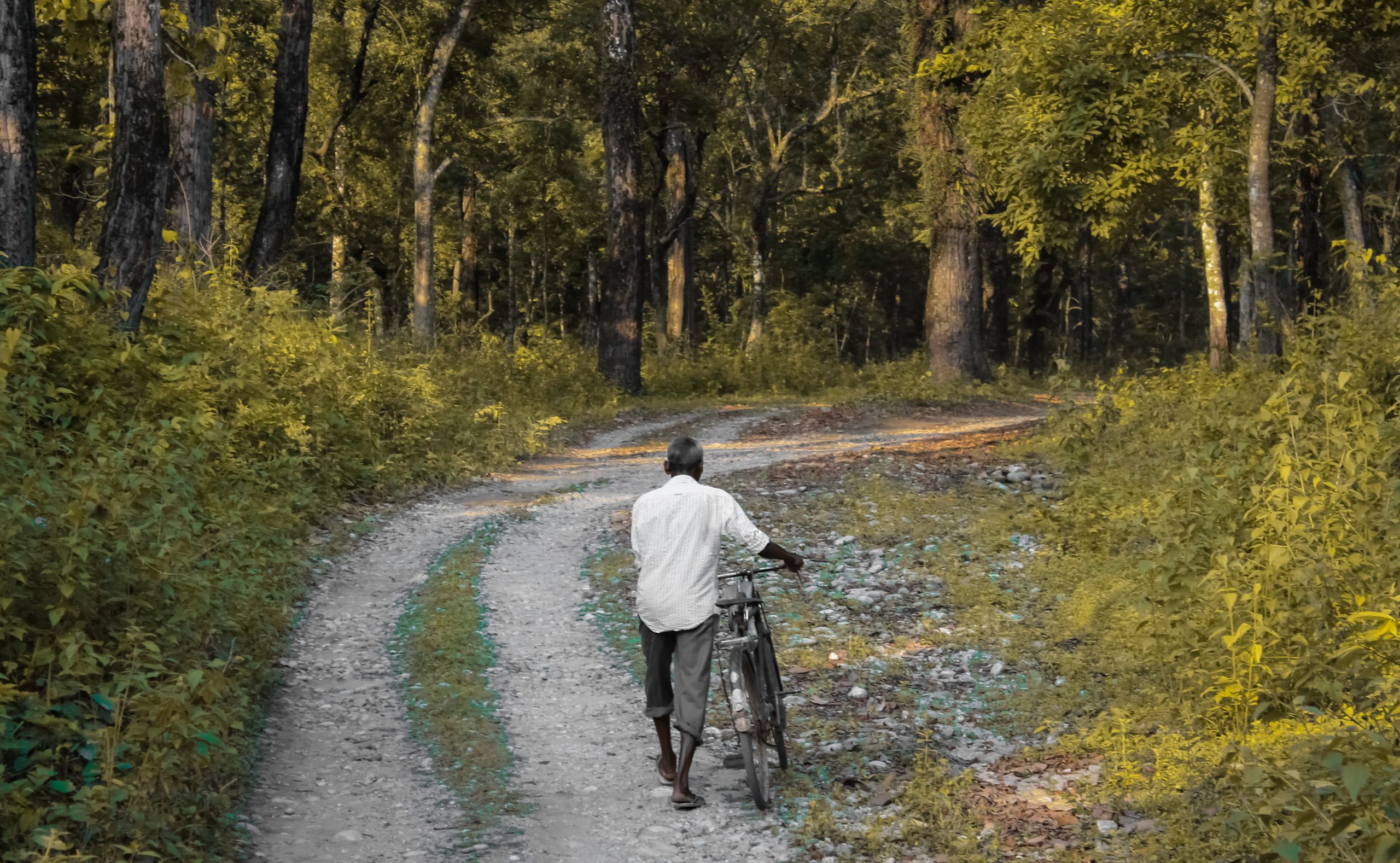 man with cycle going through the forest