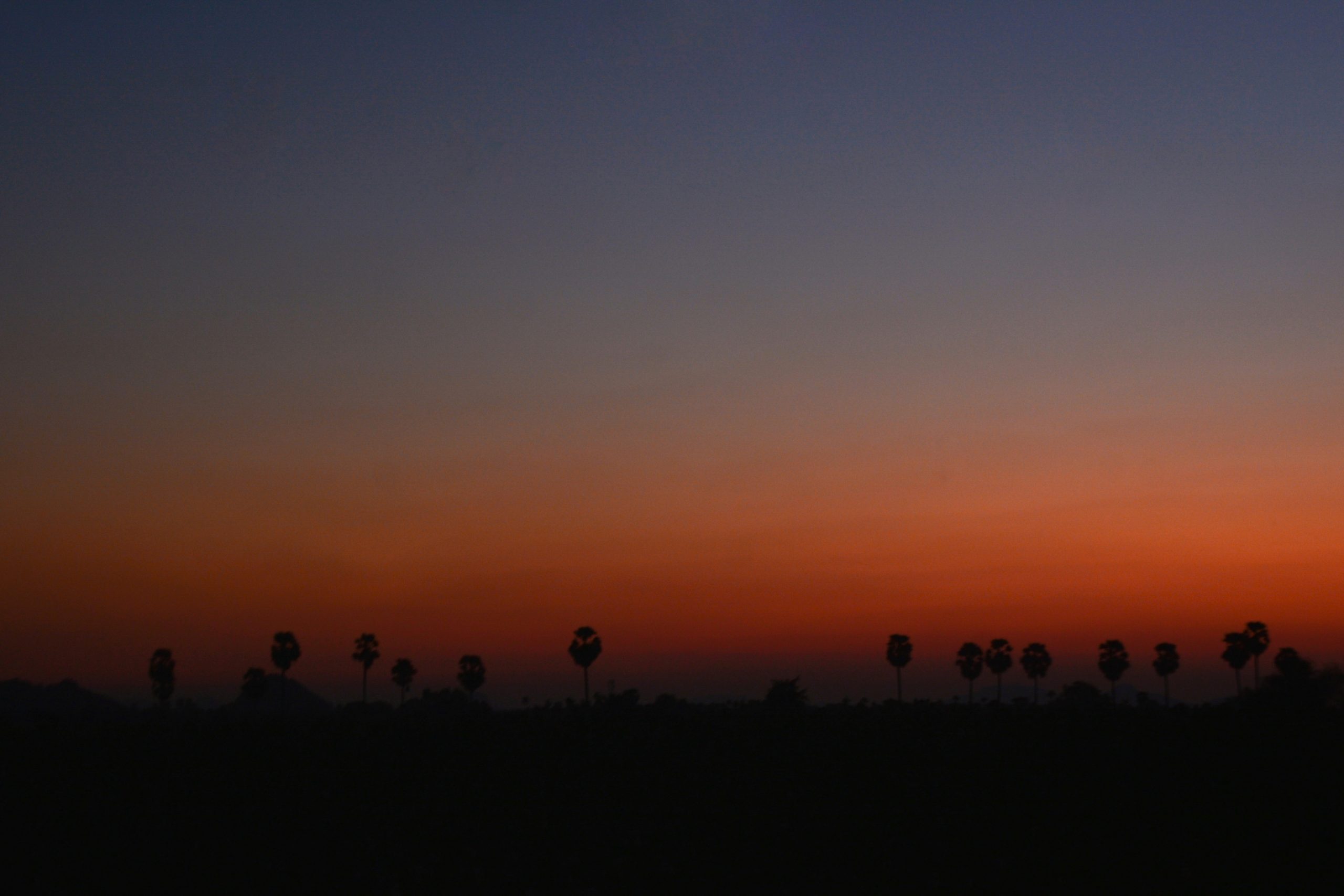 Breathtaking Sunset