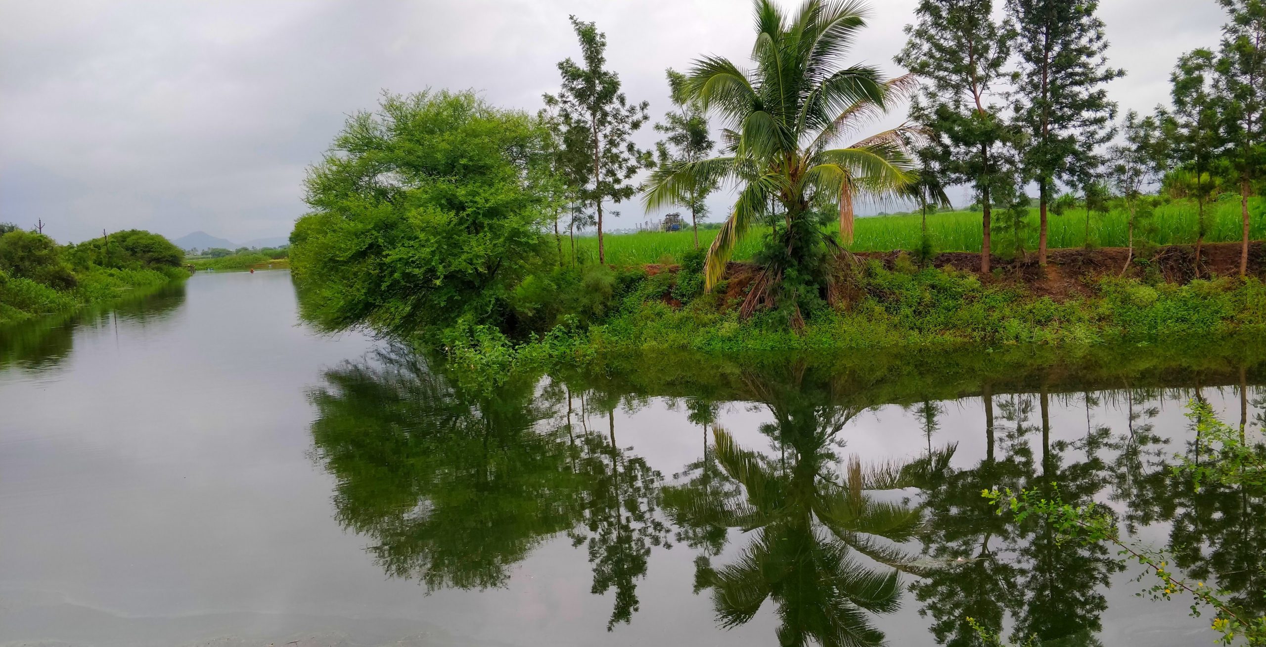 Lakeside Reflection