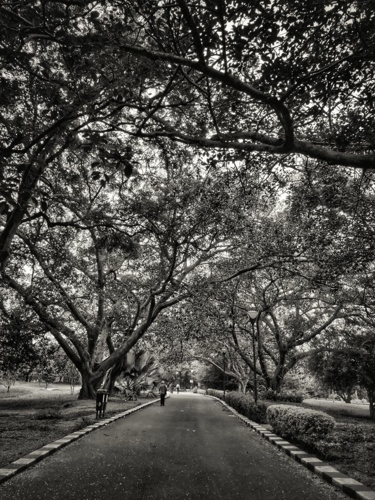 Lal Bagh Botanical Garden - PixaHive