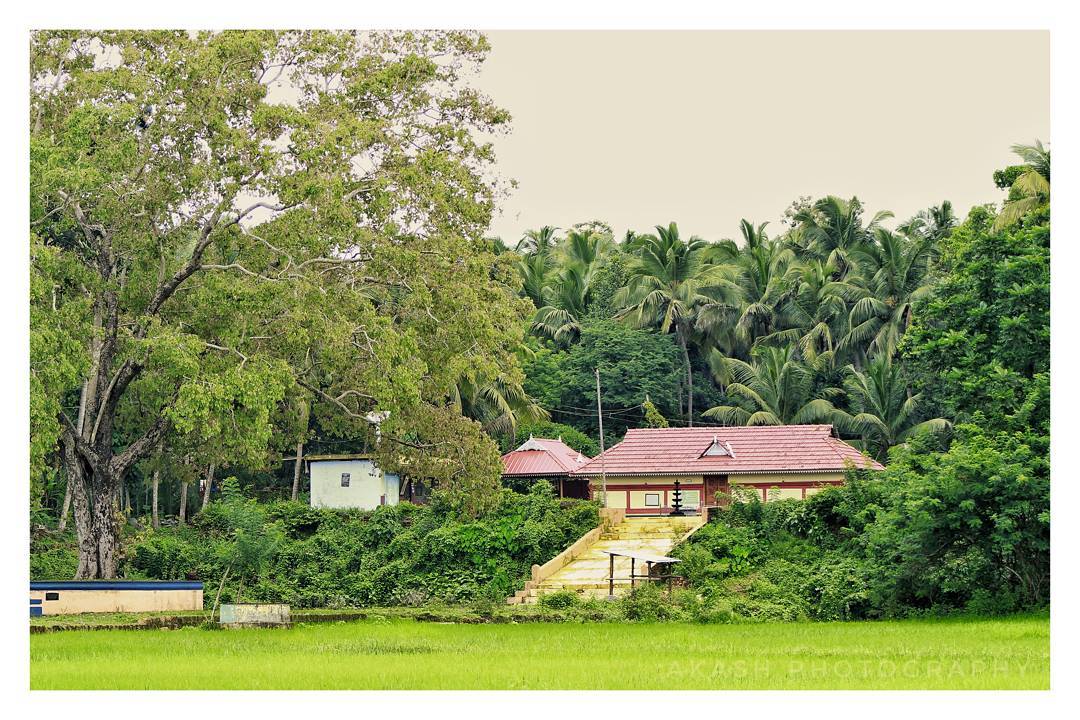 Kerala landscape