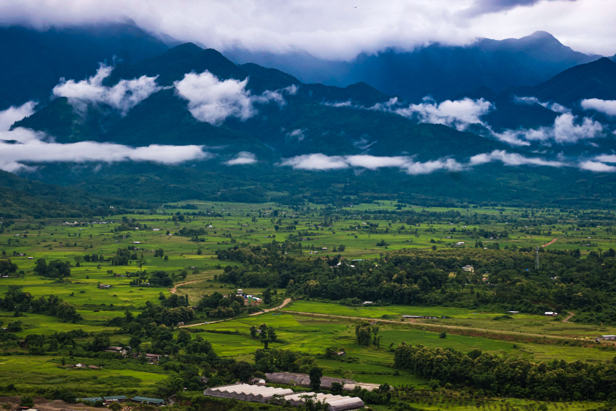 Landscape field