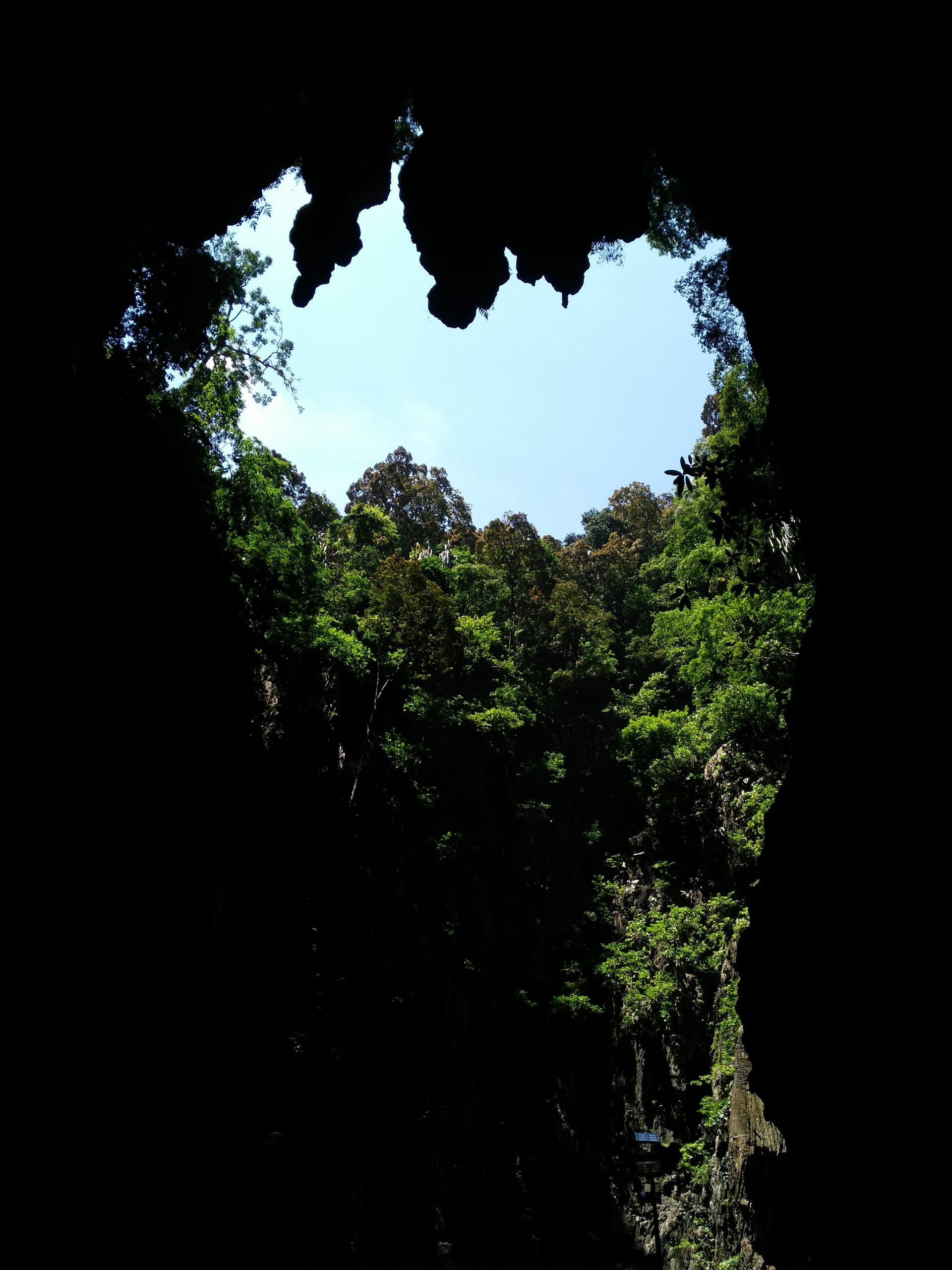 Malaysia- Forest and caves