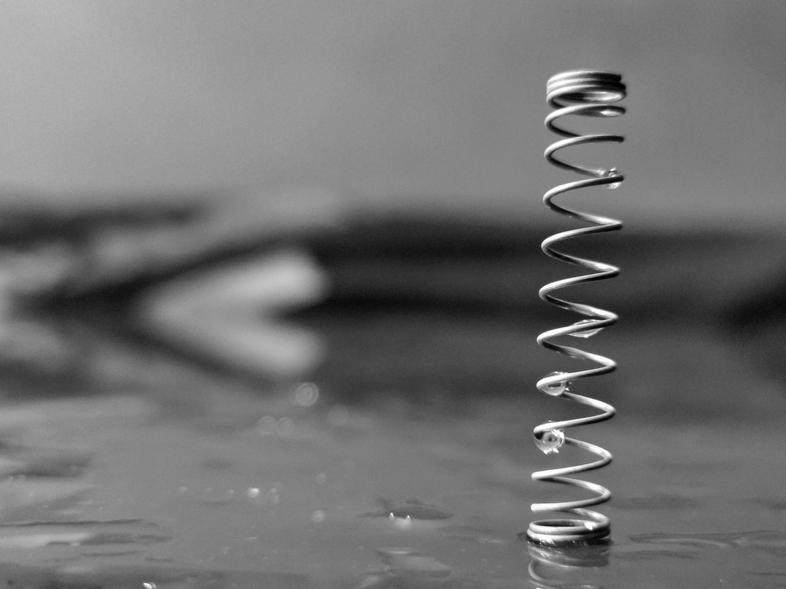 Metal Spring in Black and White