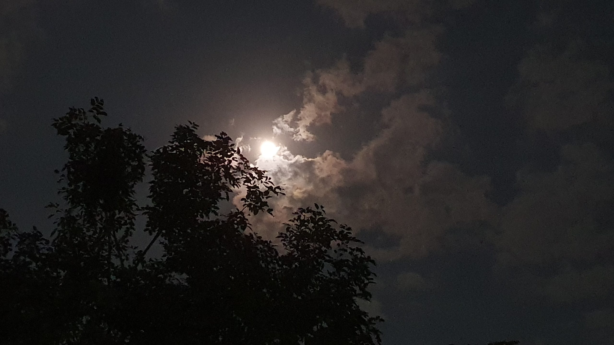 Moonlight Scenery