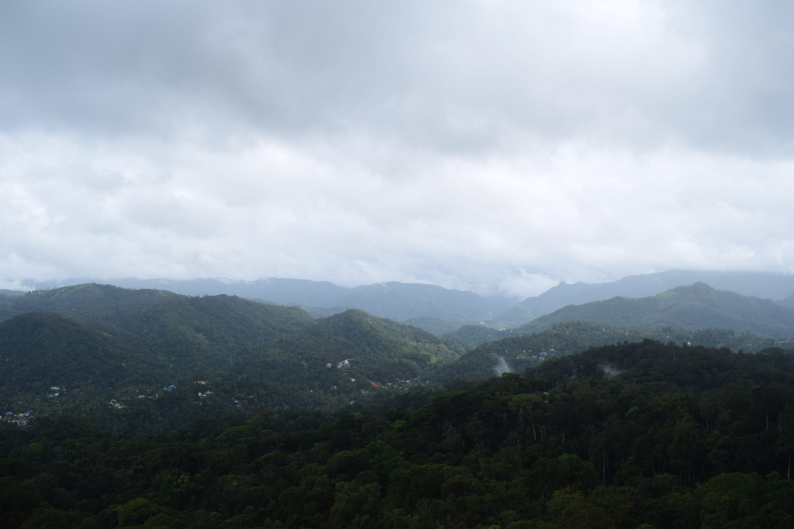 Mountain ranges near Munnar in Kerala