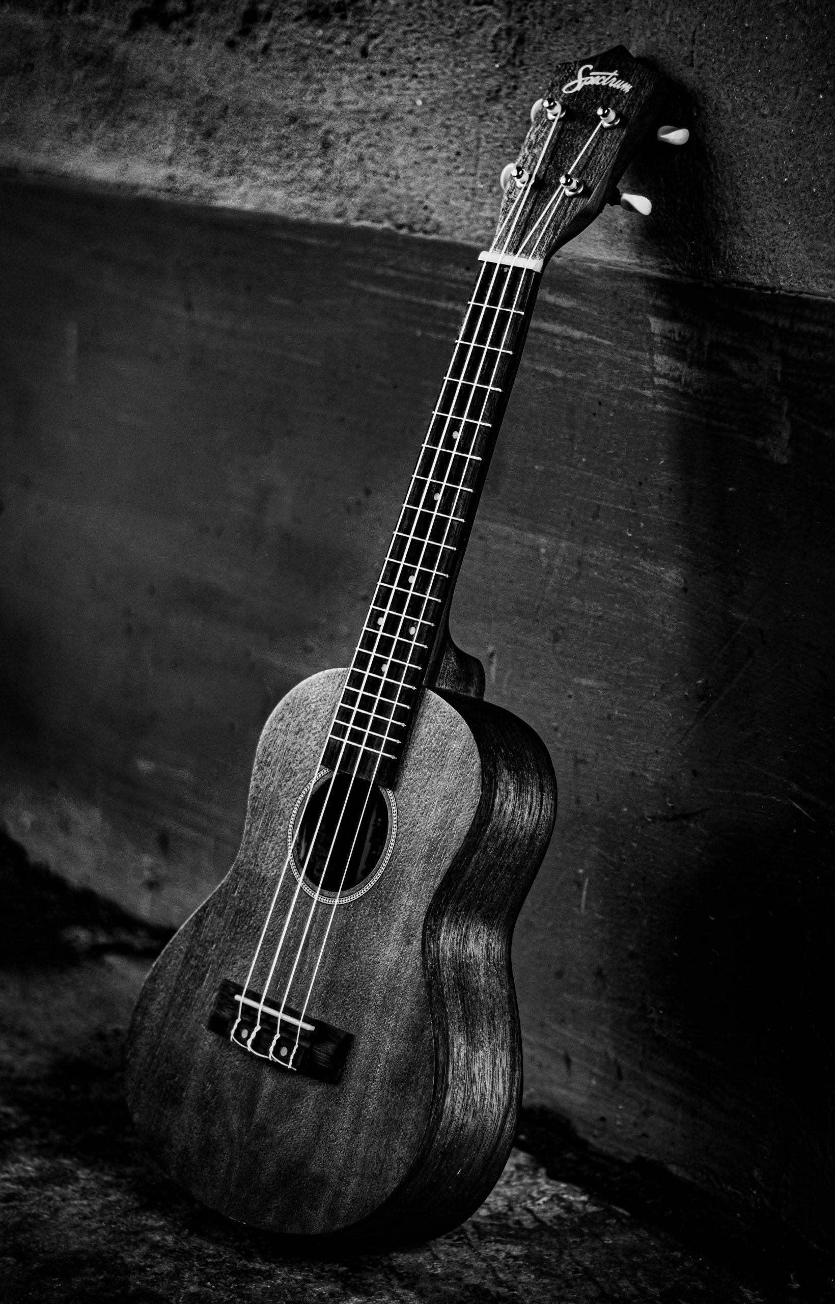 Musical Instrument on Black and White