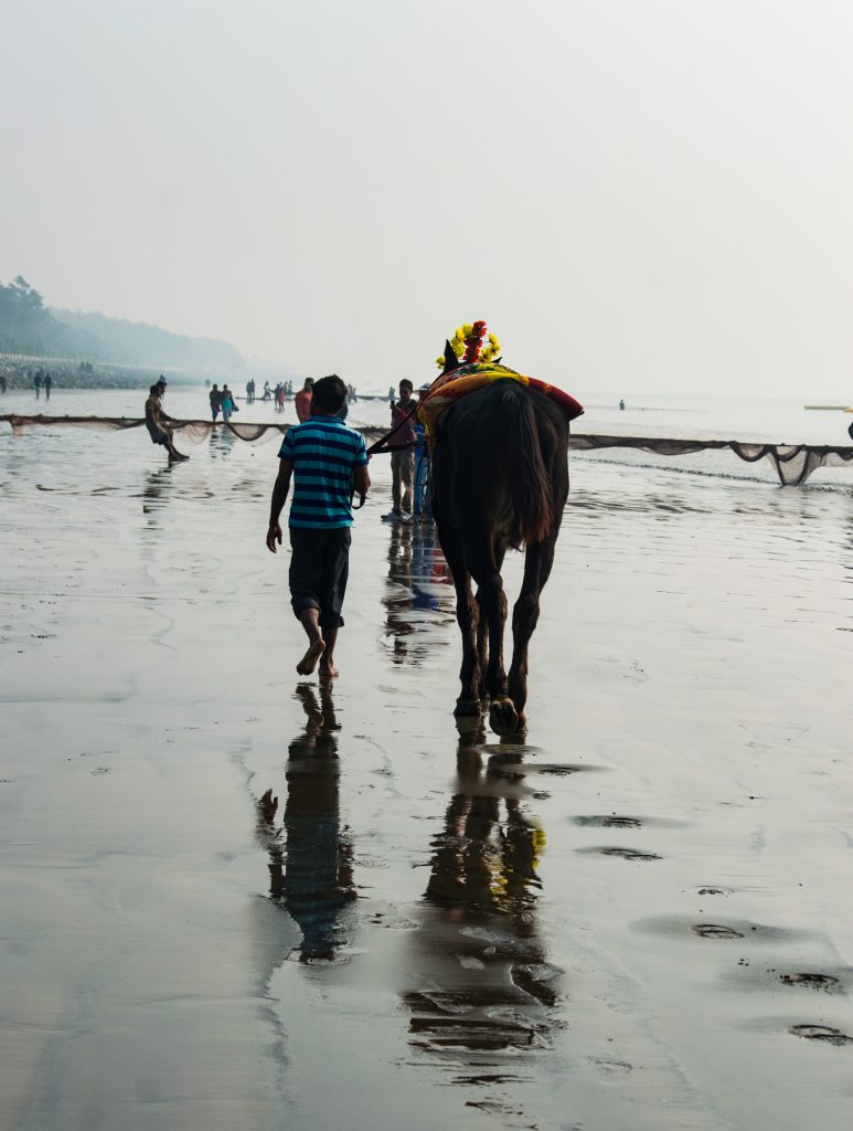 New Digha Sea Beach in West Bengal - PixaHive