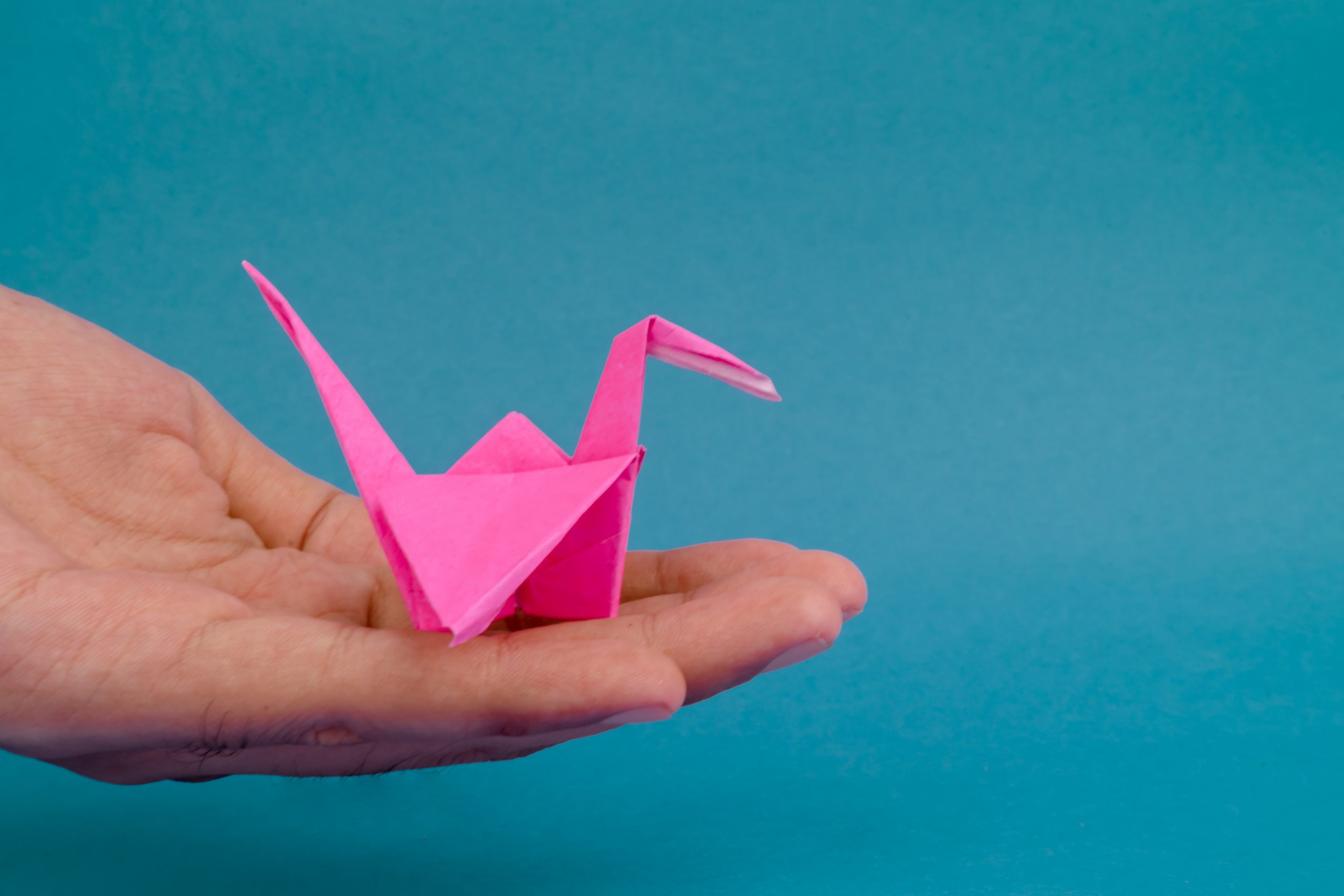 Origami crane in hand