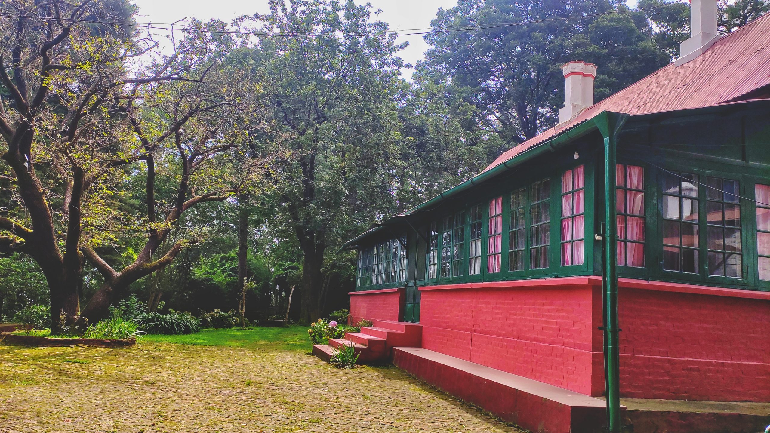 Outside Photo of the House and Trees