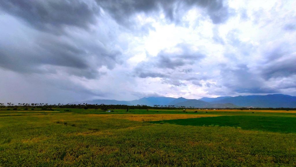 Paddy Fields - PixaHive