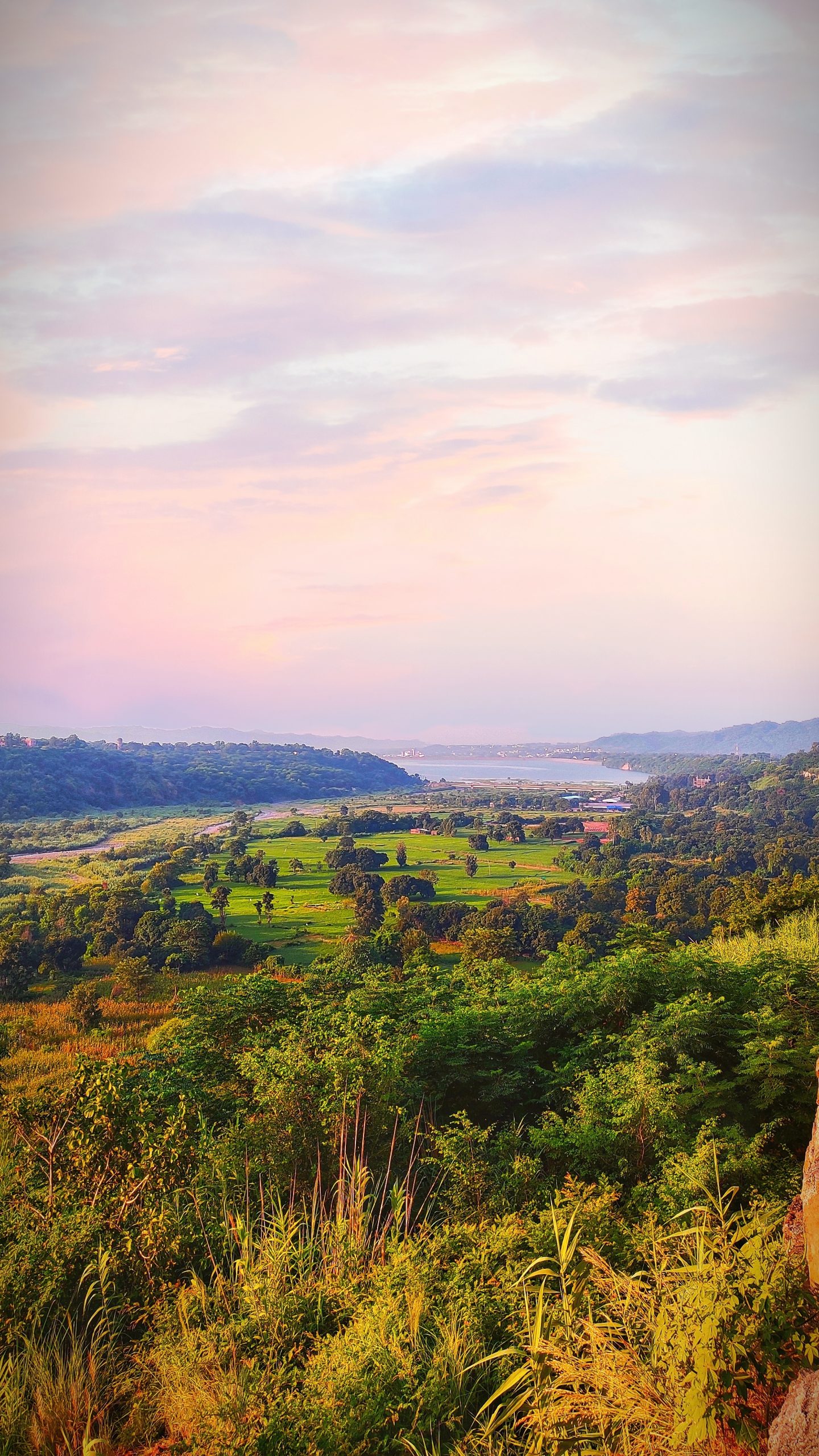 Pink Clouds over Green Fields